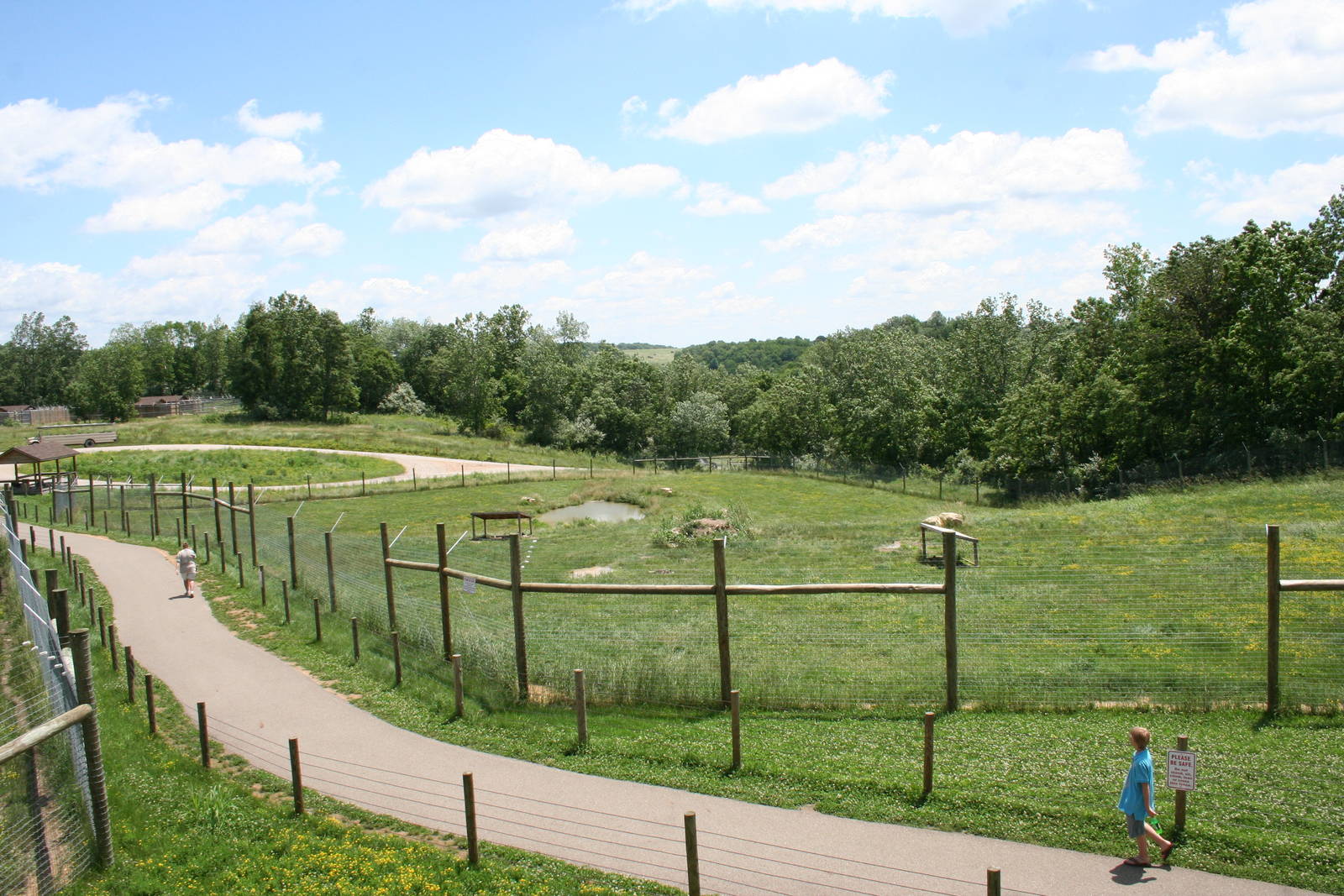 African Wild Dog Enclosure
