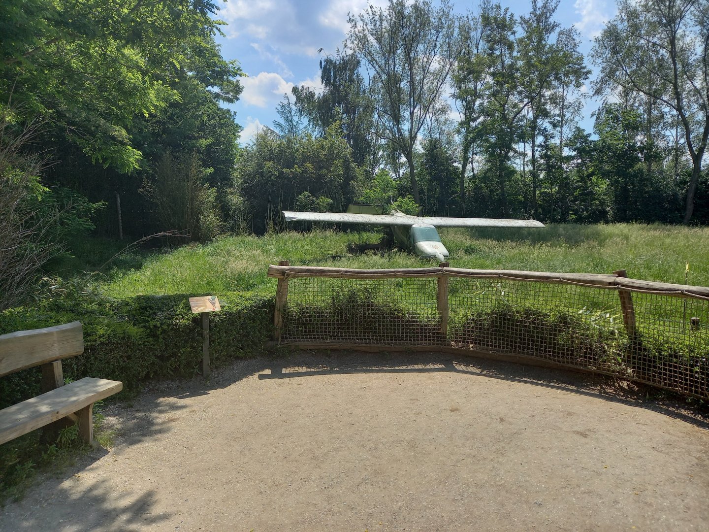 African wild dog enclosure