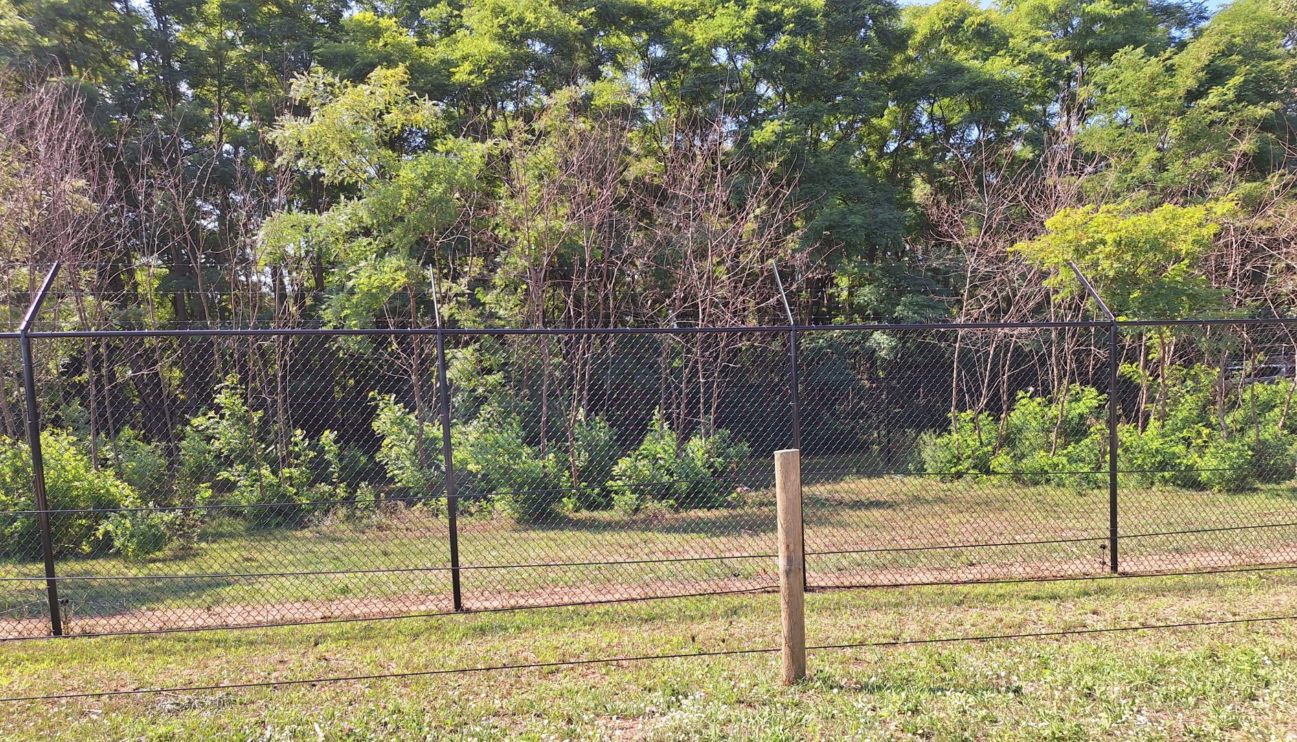 African Wild Dog enclosure