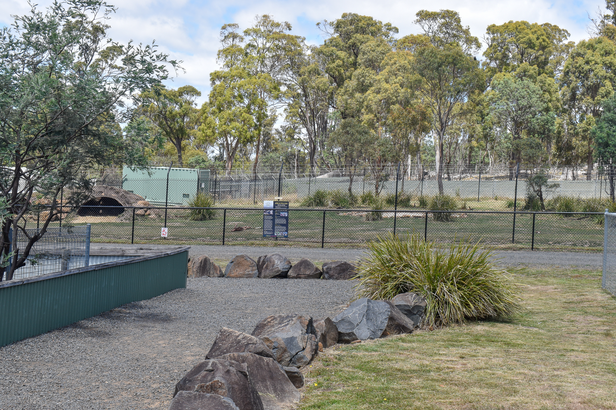 African Wild Dog enclosure