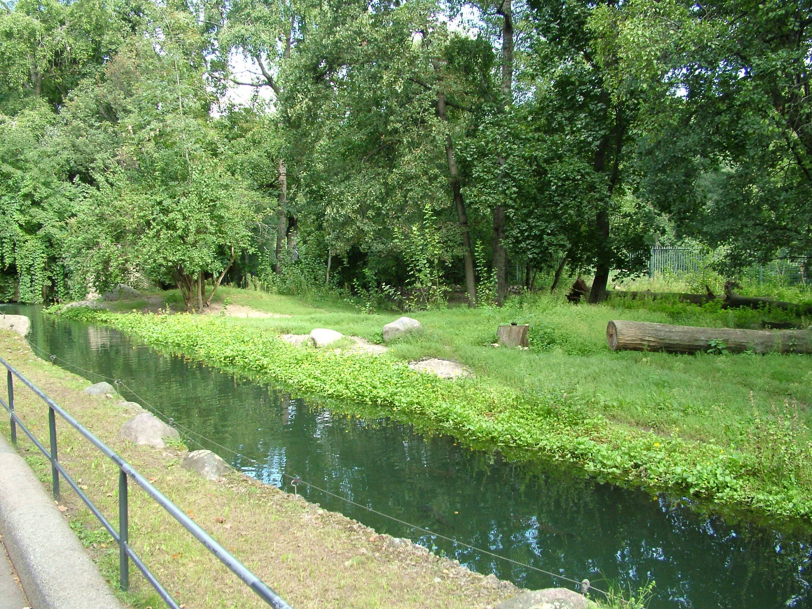African Wild Dog Exhibit at Berlin Zoo, 31/08/11