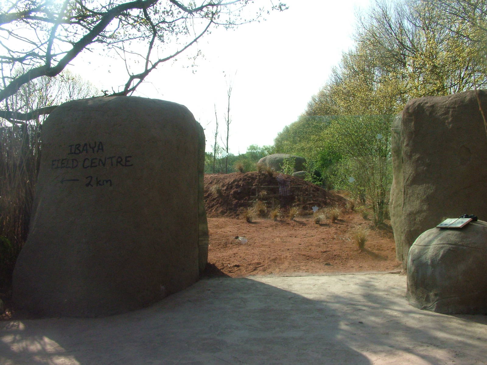 African Wild Dog Exhibit at Chester, 16/04/11