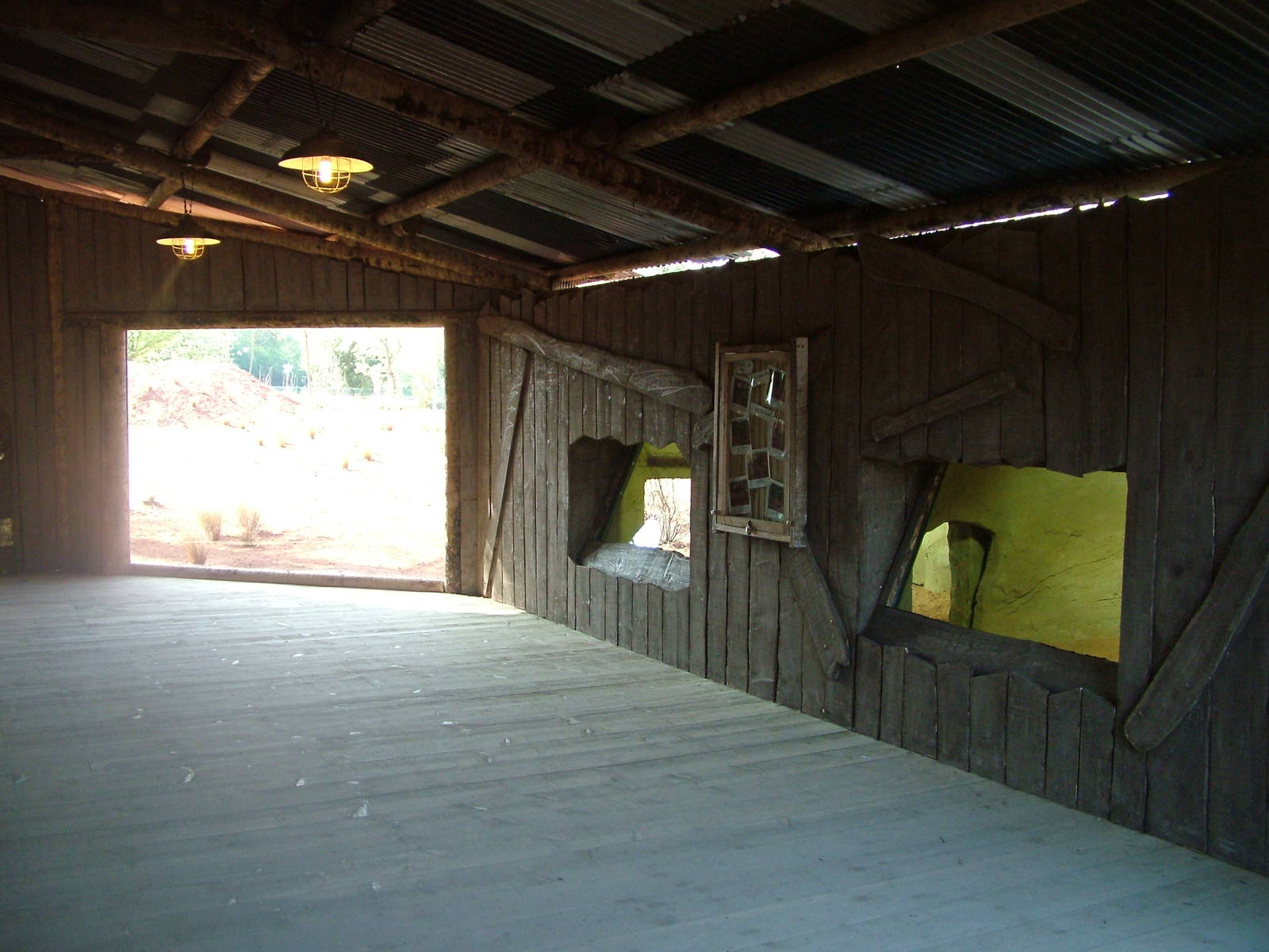 African Wild Dog Exhibit at Chester, 16/04/11
