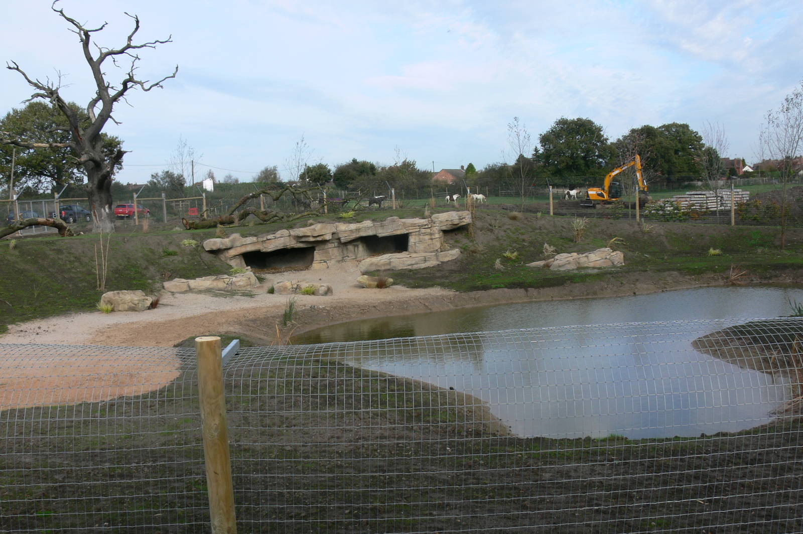 African Wild Dog Exhibit at Yorkshire WP, 28/10/14