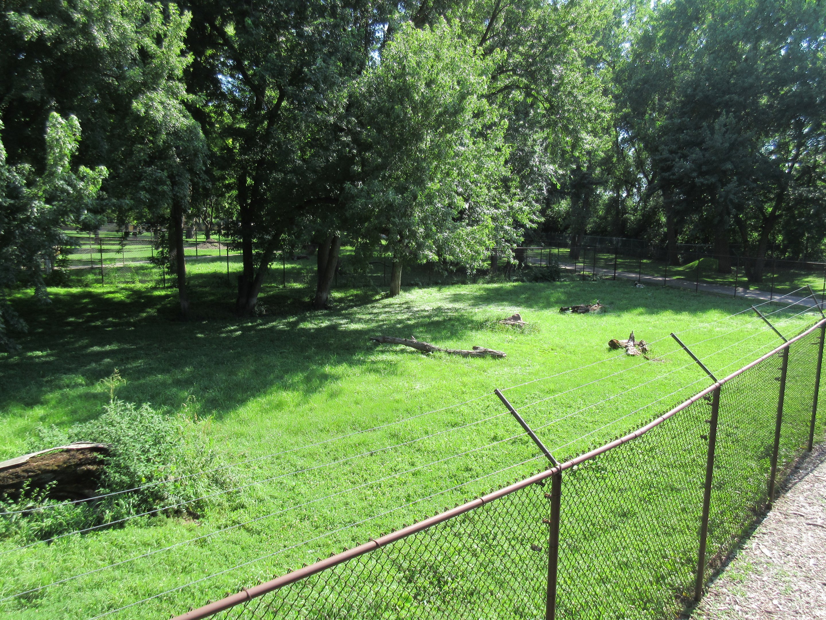African Wild Dog Exhibit (formerly for Cheetahs)