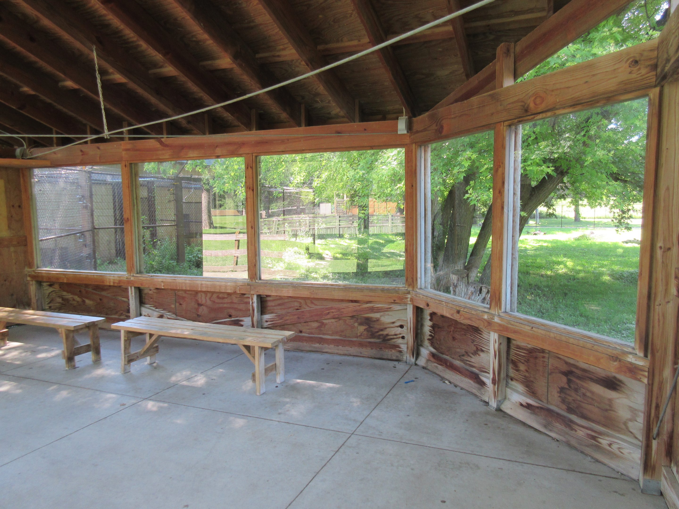 African Wild Dog Exhibit (formerly for Cheetahs)