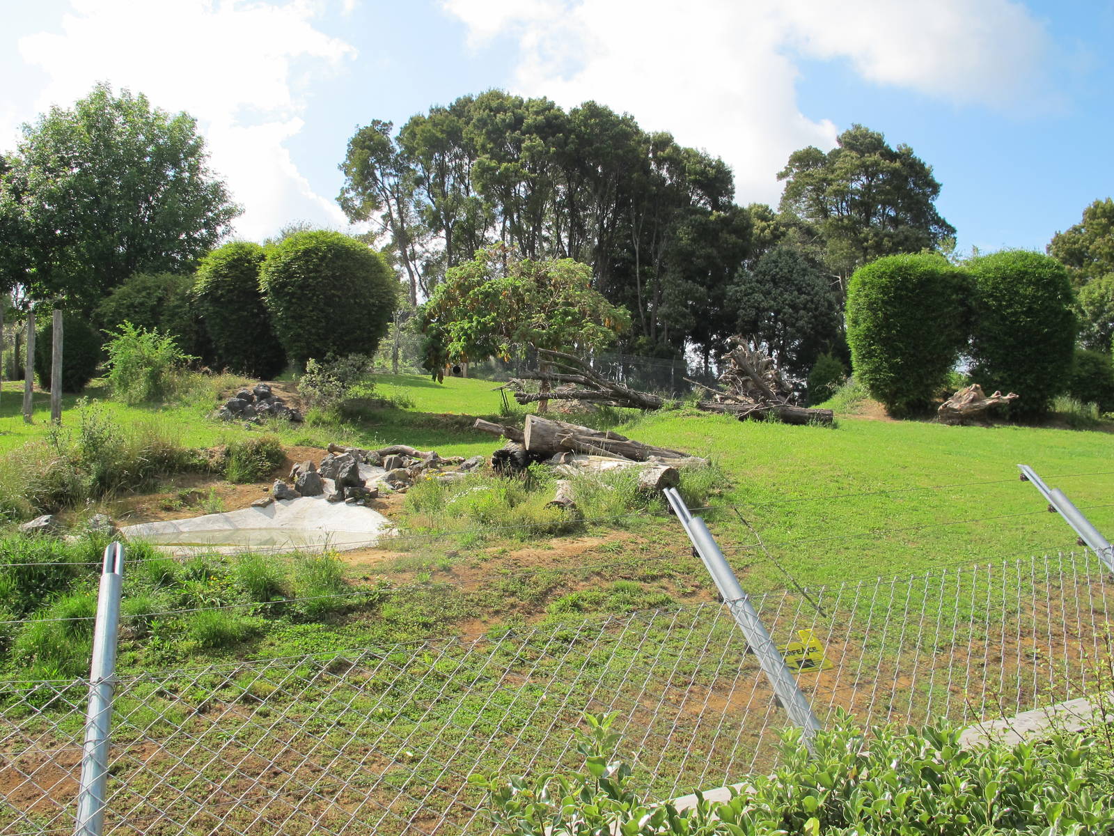 African Wild Dog Exhibit - Hamilton Zoo 2012