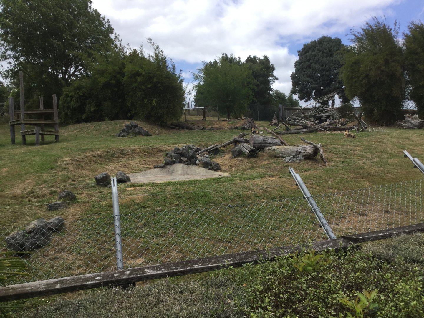 African Wild Dog Exhibit (Main Exhibit)