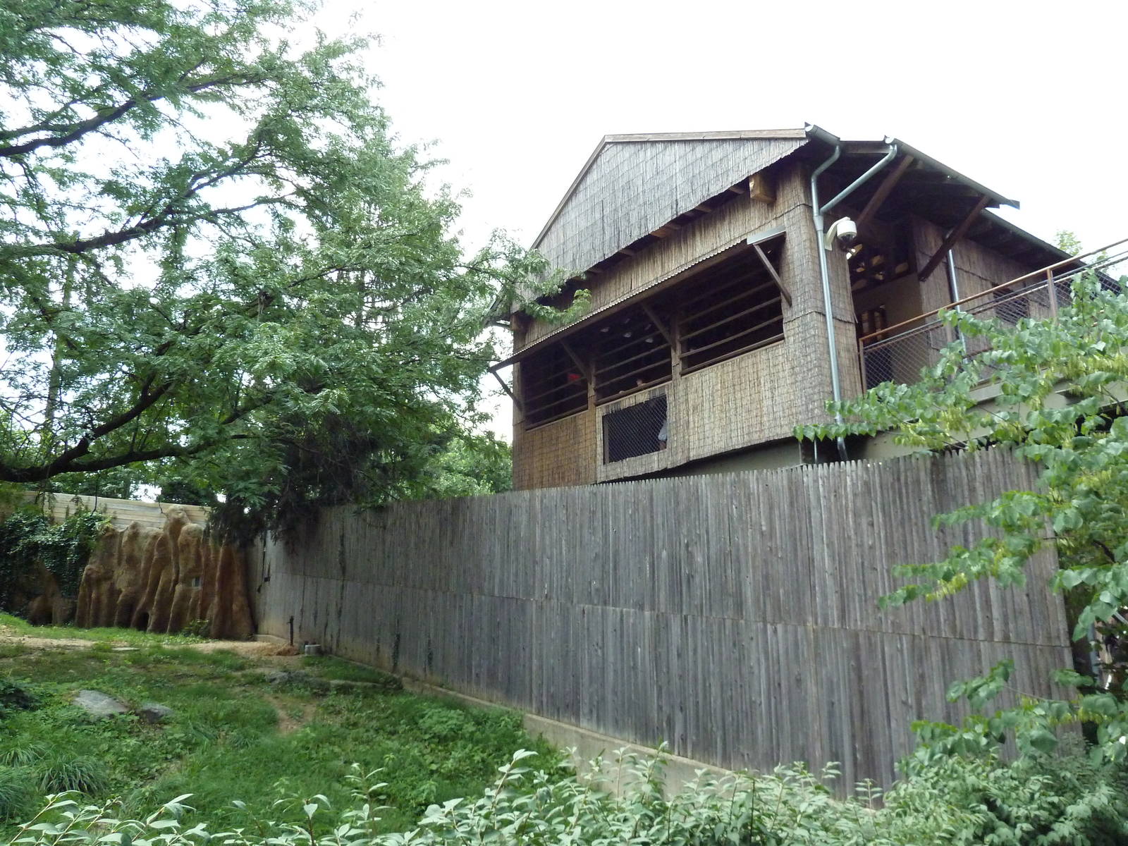 African Wild Dog Exhibit - Overlook