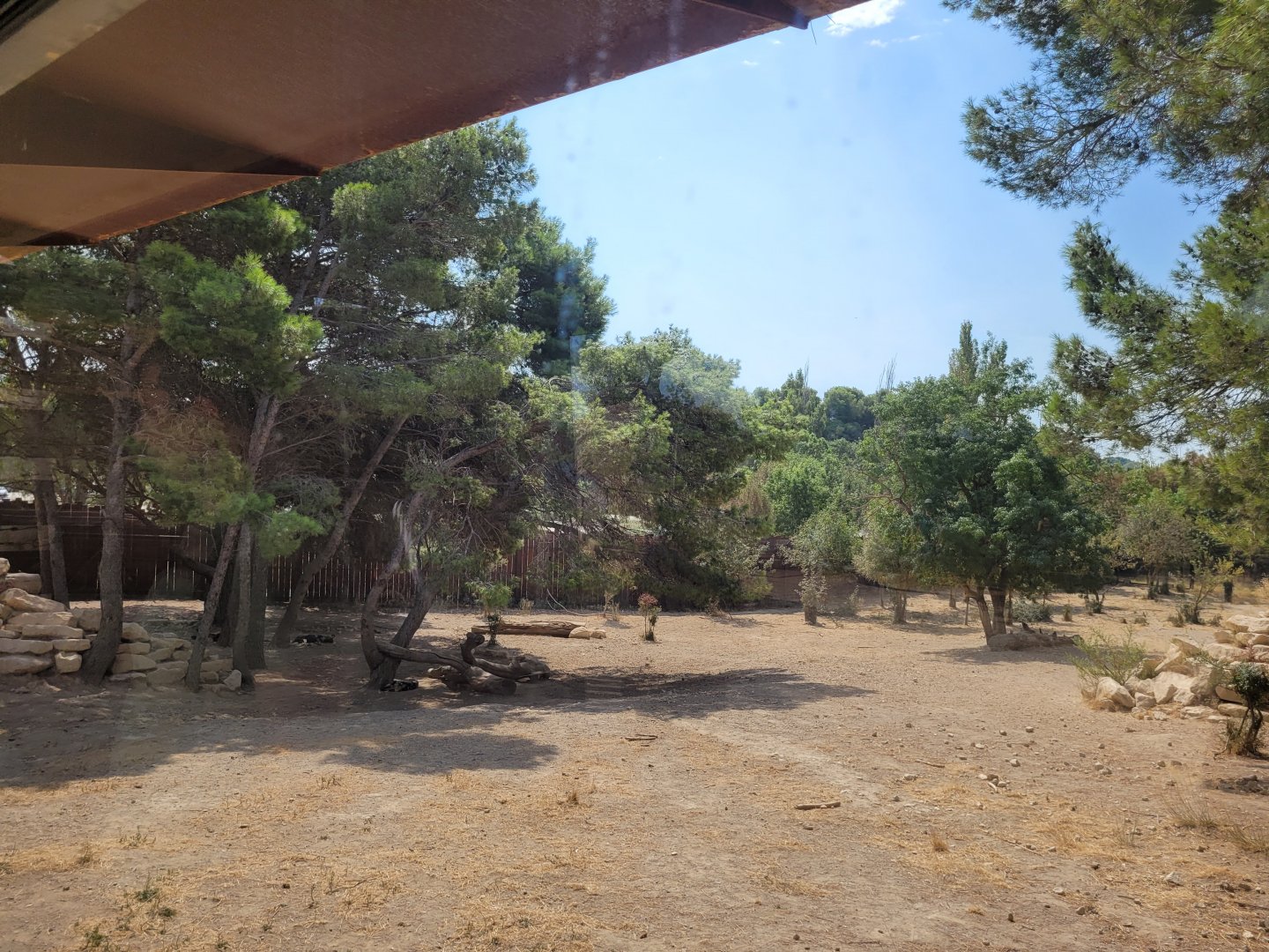 African wild dog exhibit -Réserve Africaine de Sigean (2022)