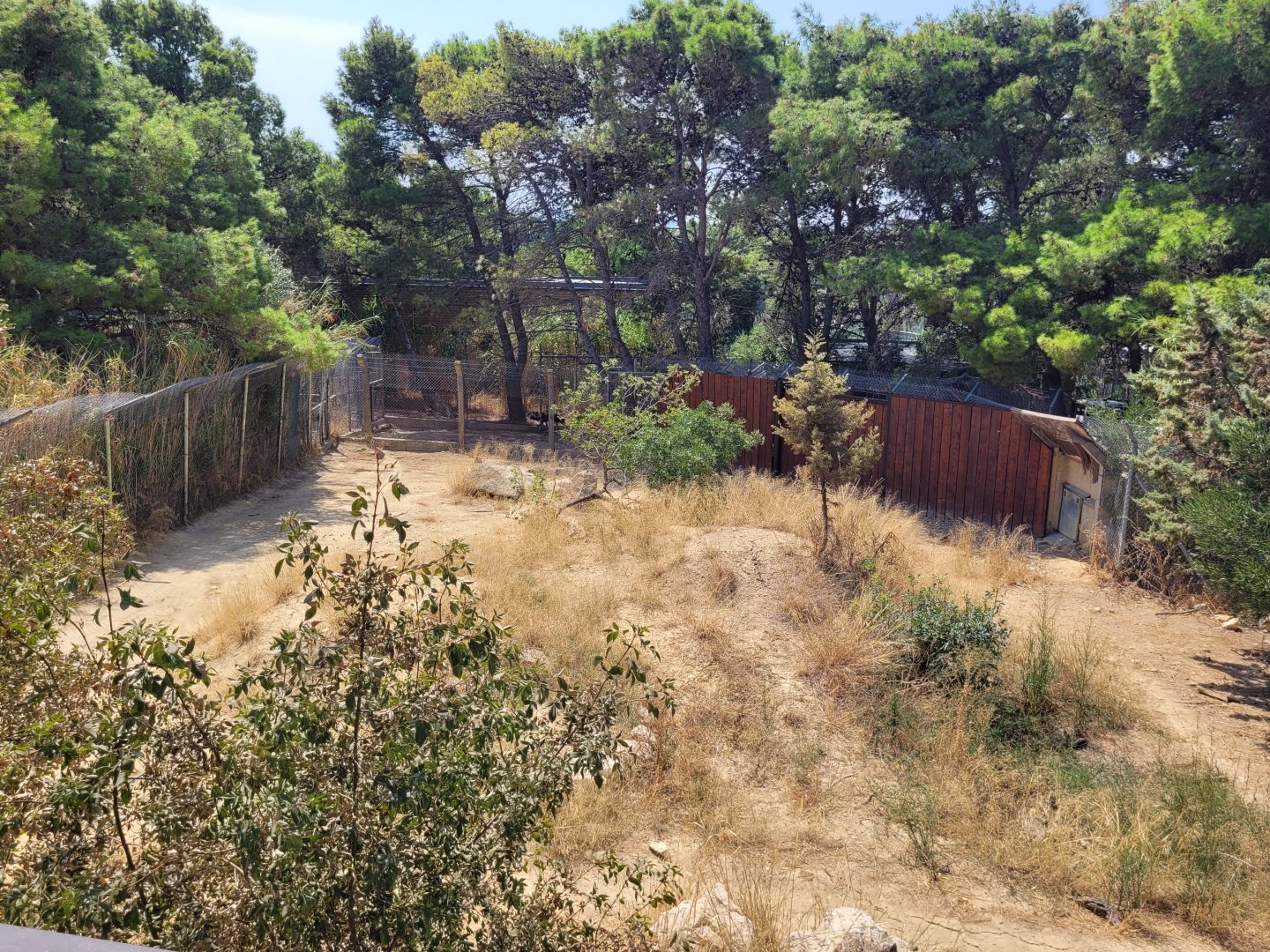 African wild dog exhibit -Réserve Africaine de Sigean (2022)