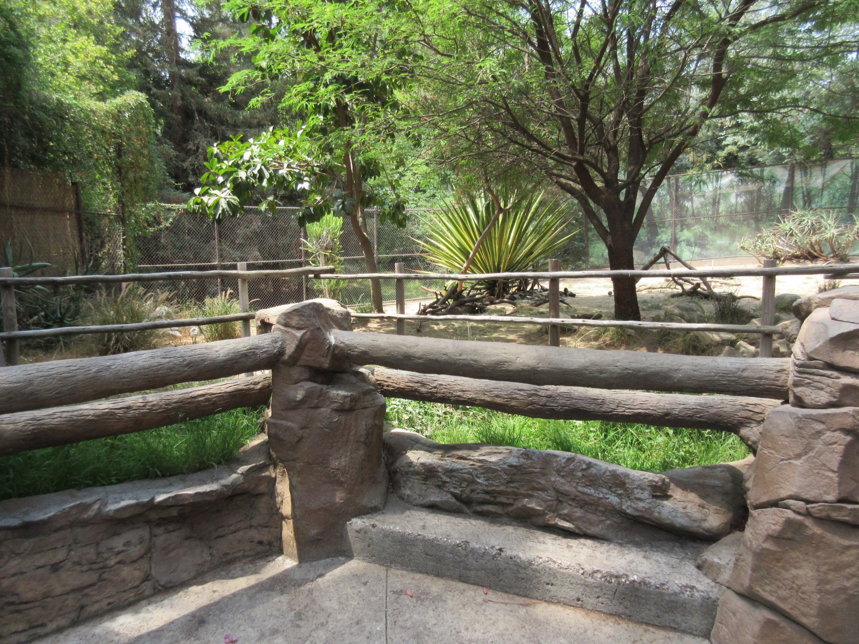 African Wild Dog Exhibit - Viewing Area