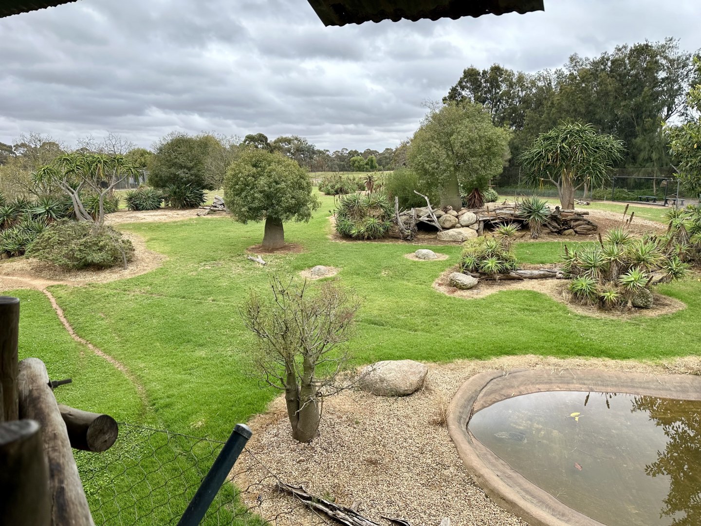 African Wild Dog Exhibit (Viewing Platform)