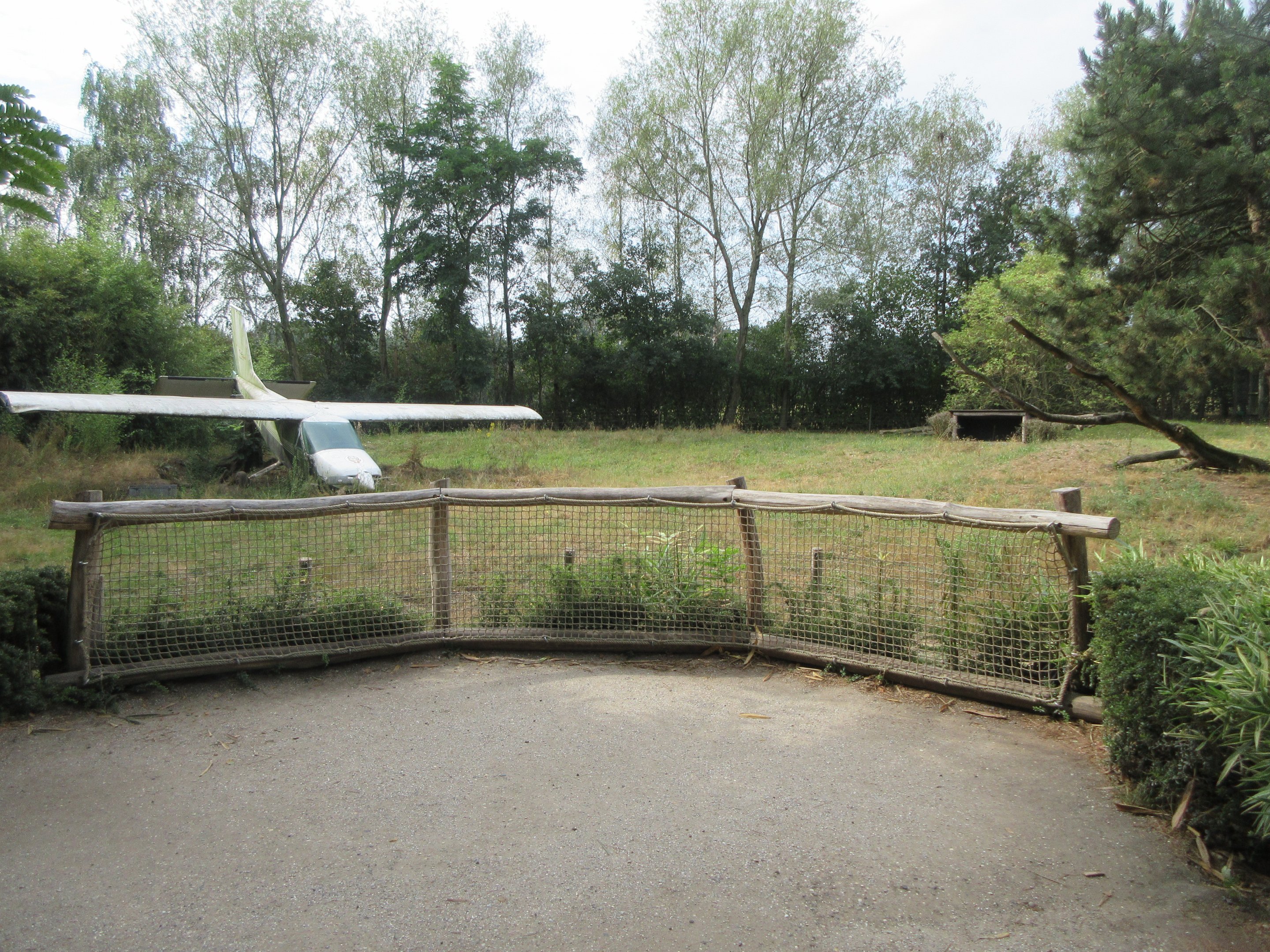 African Wild Dog Exhibit (with a plane!)