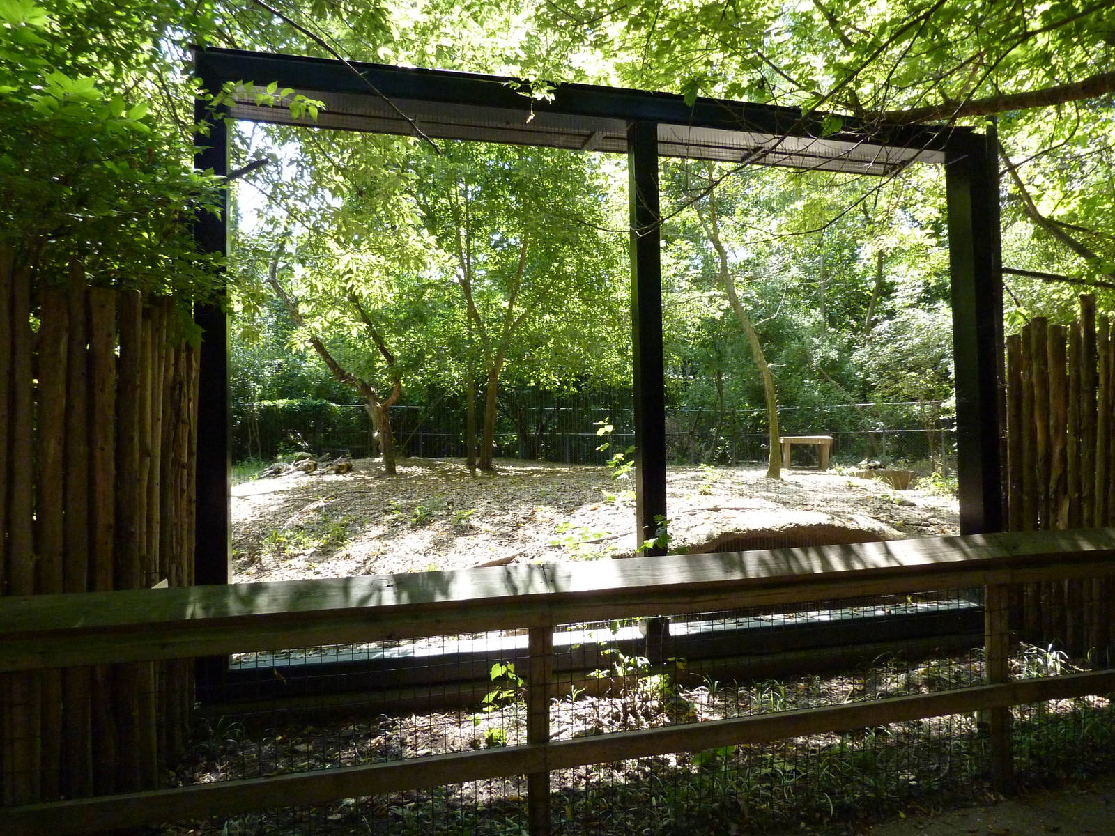 African Wild Dog Exhibit