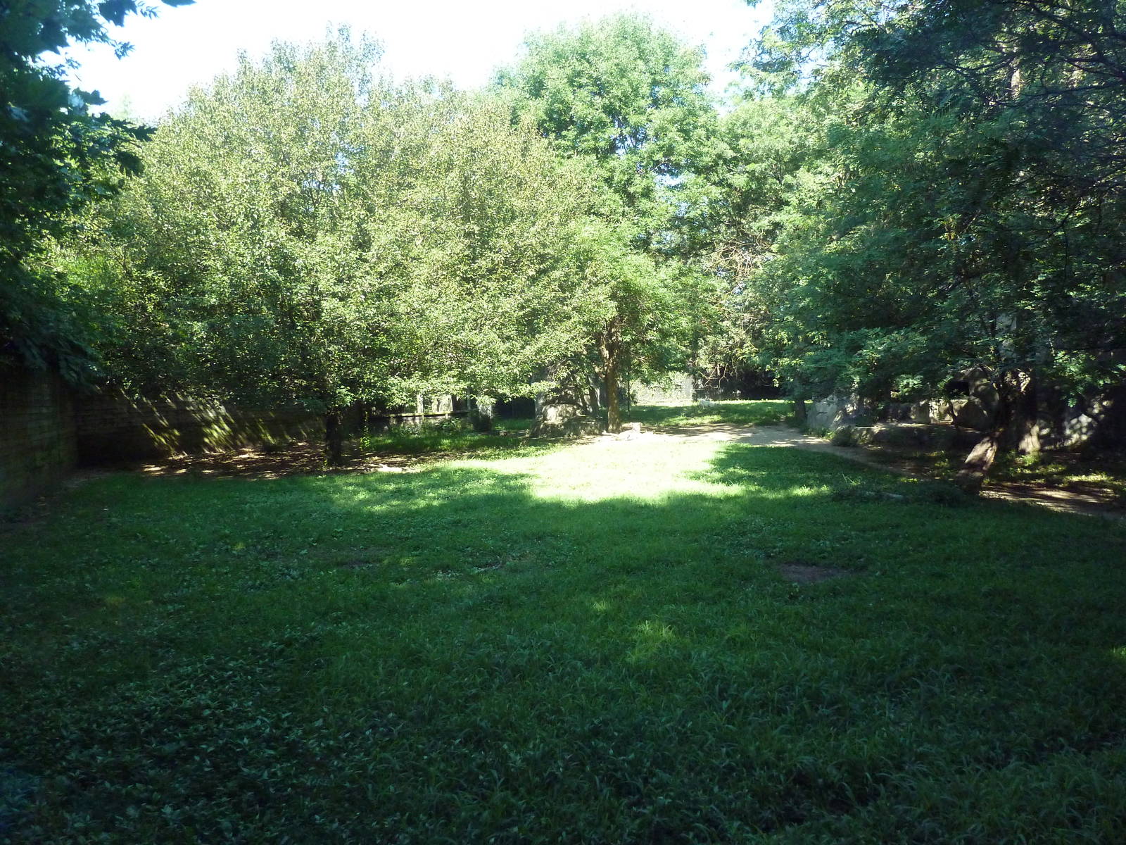 African Wild Dog Exhibit