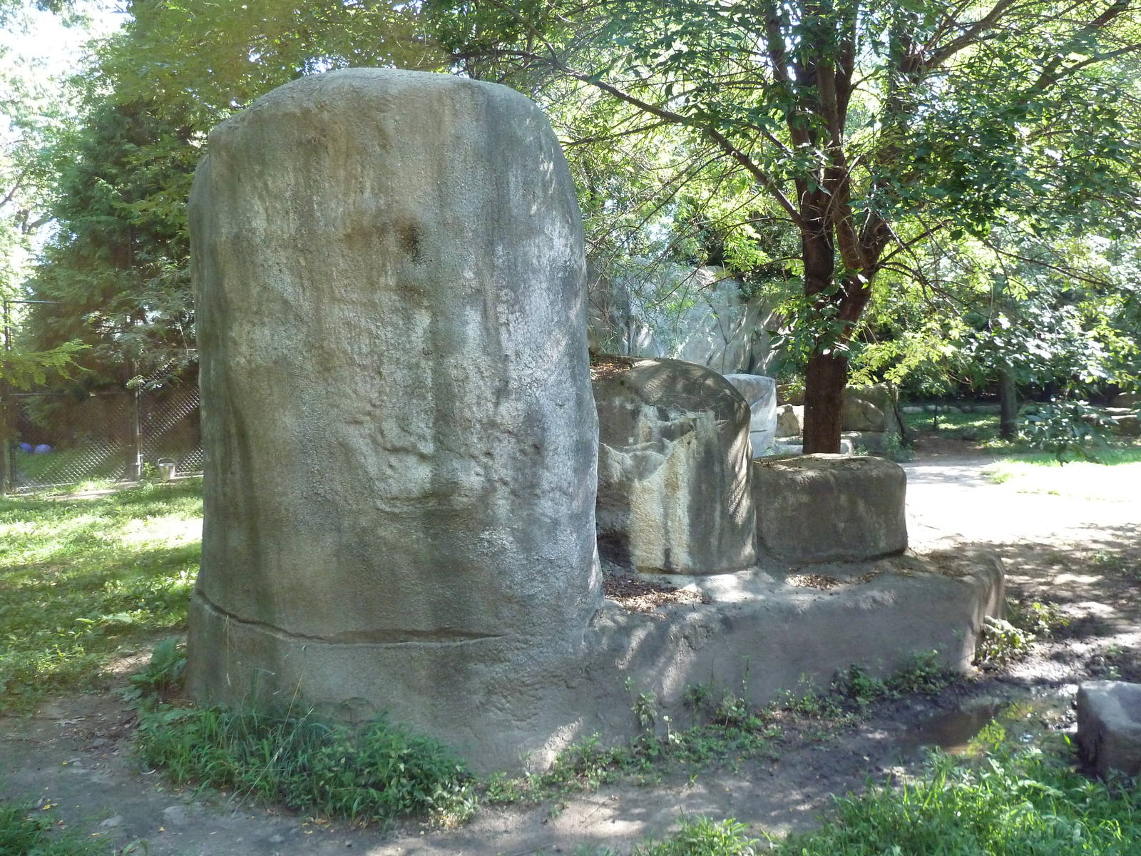 African Wild Dog Exhibit