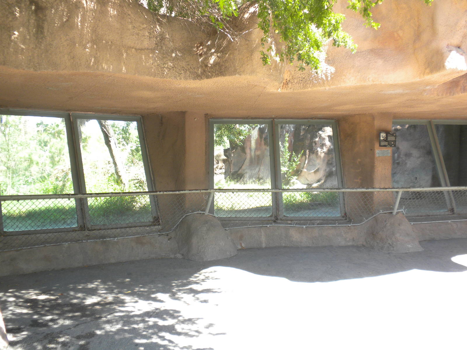 African Wild Dog exhibit