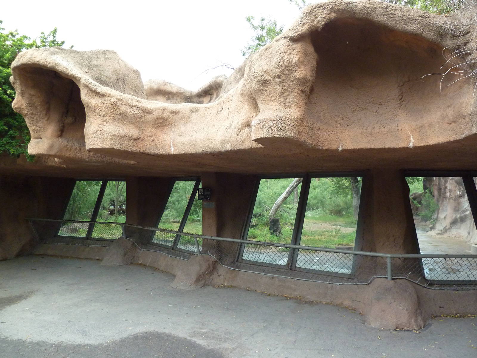 African Wild Dog Exhibit