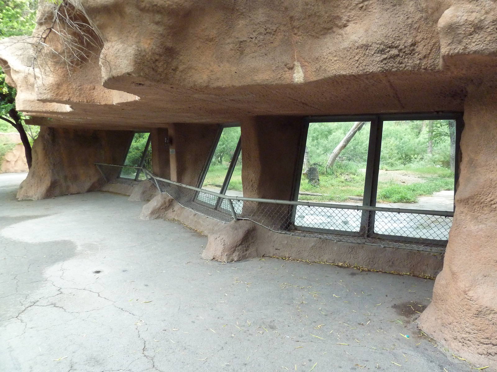 African Wild Dog Exhibit