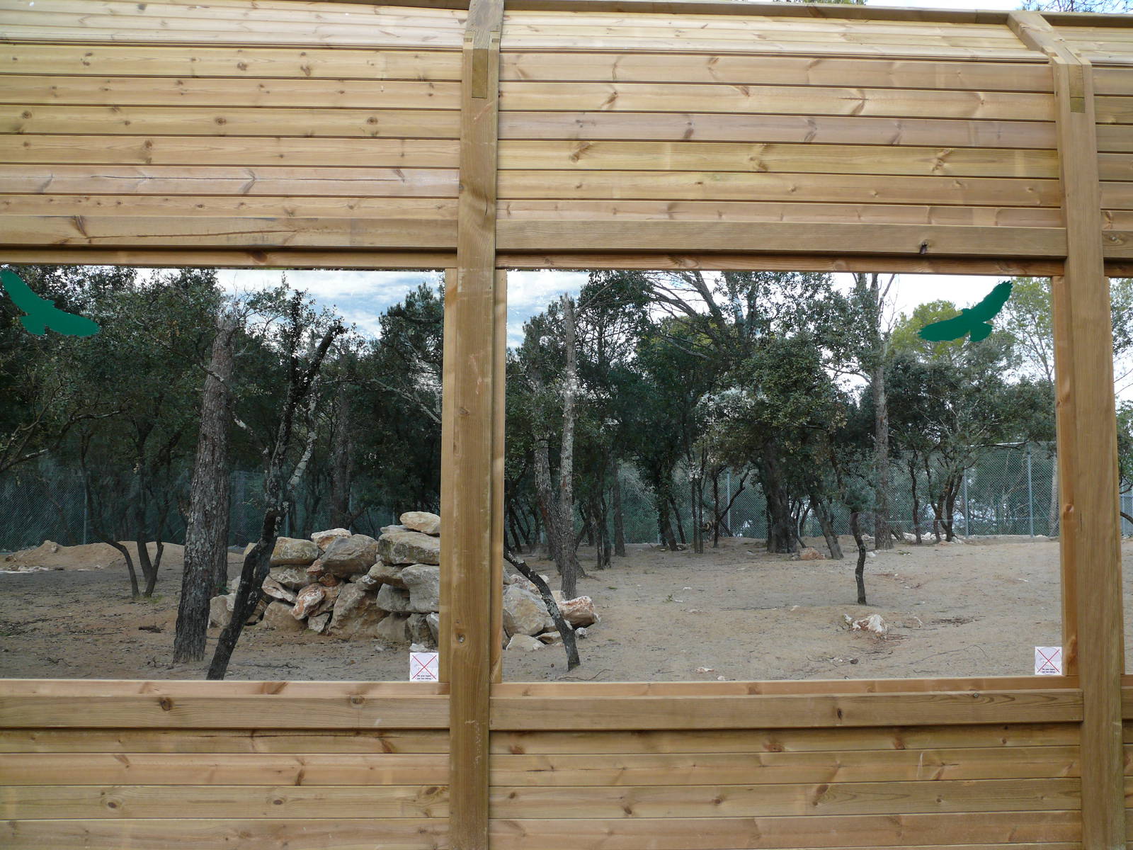 African wild dog exhibit