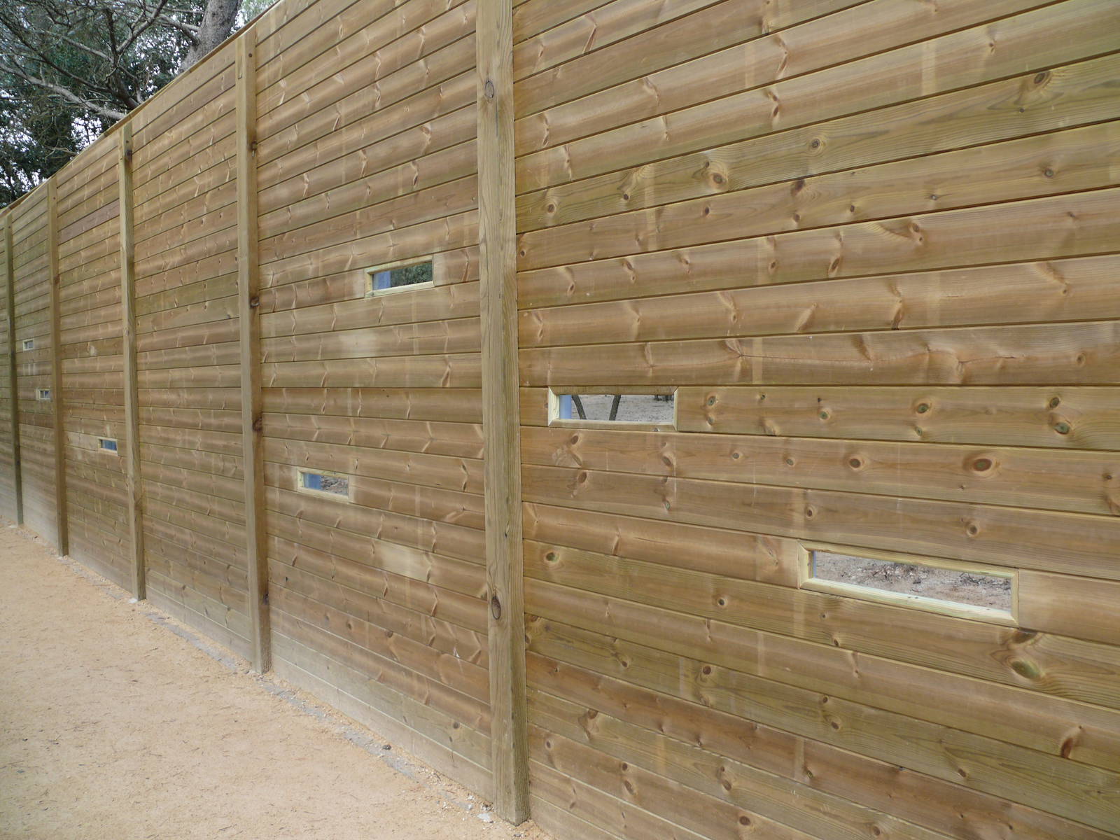 African wild dog exhibit