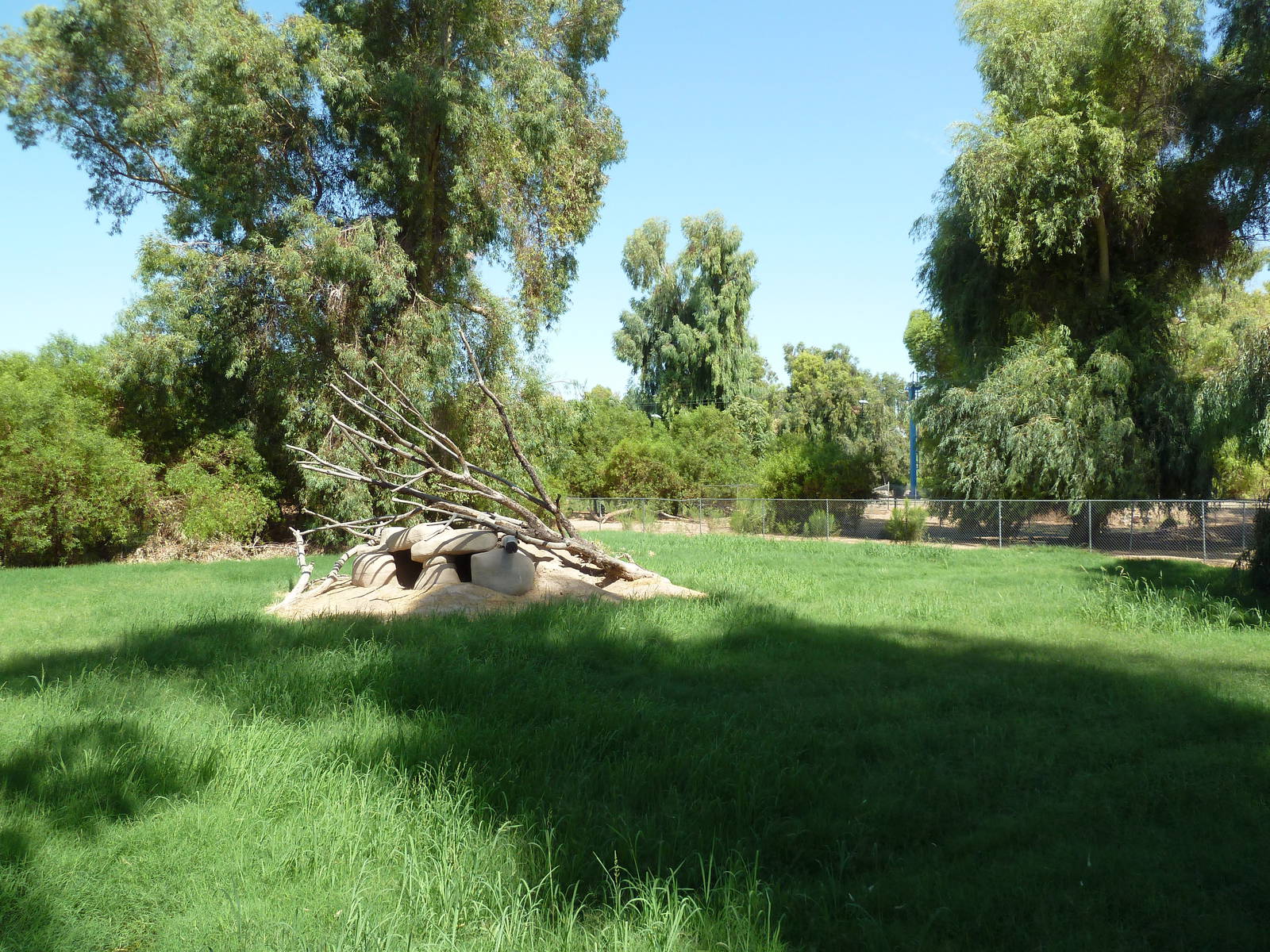 African Wild Dog Exhibit