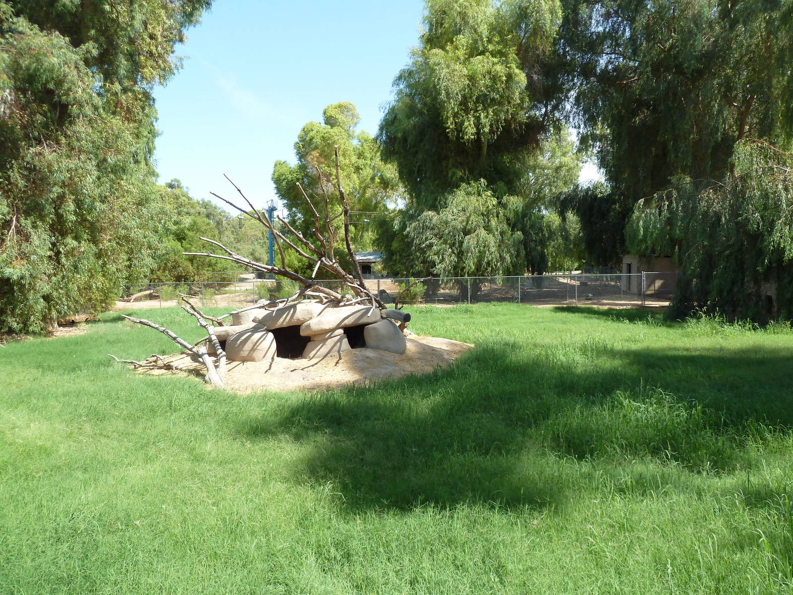 African Wild Dog Exhibit