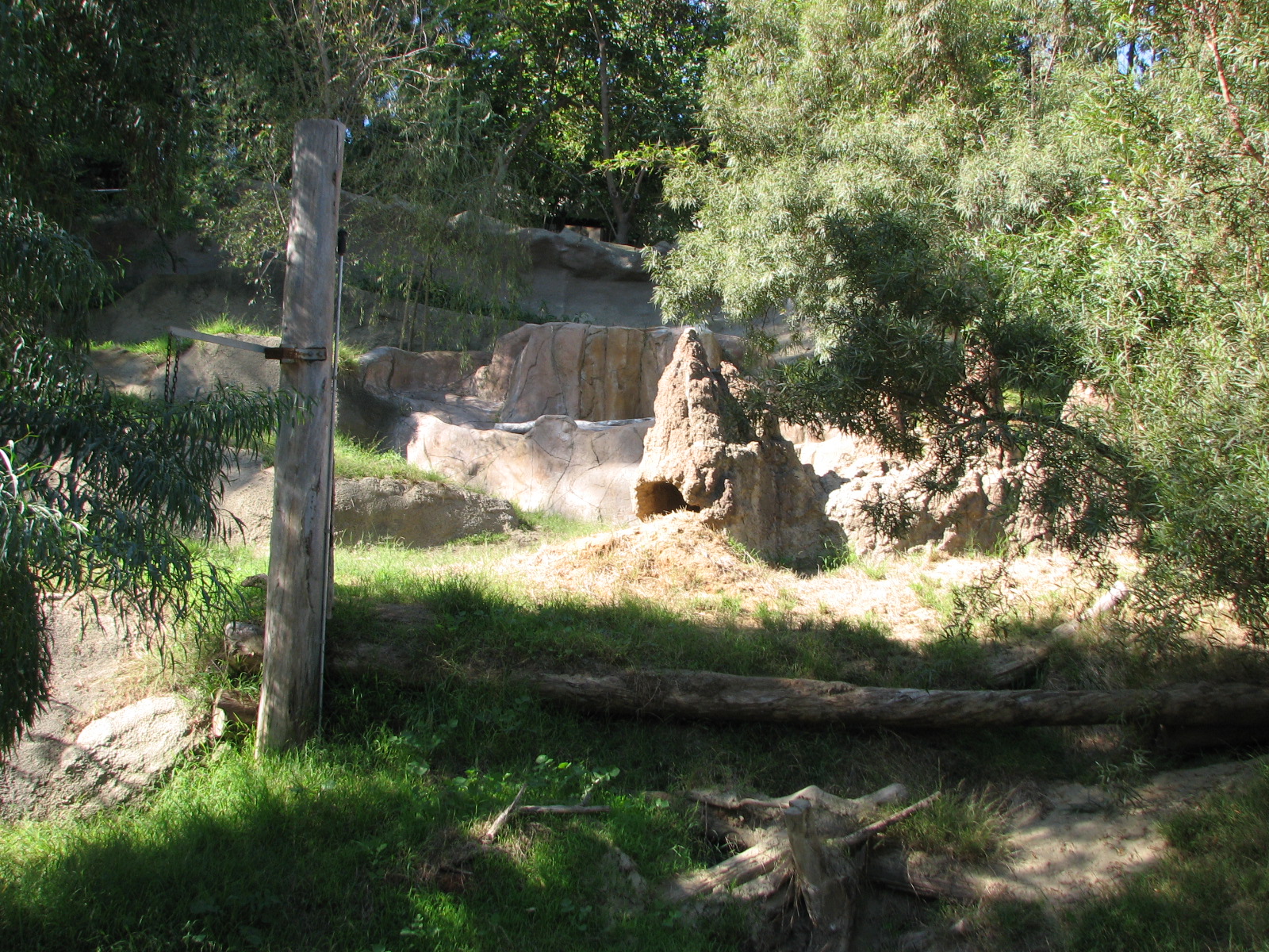 African Wild Dog Exhibit