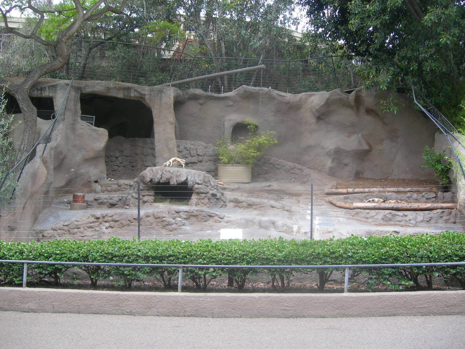 African Wild Dog Exhibit
