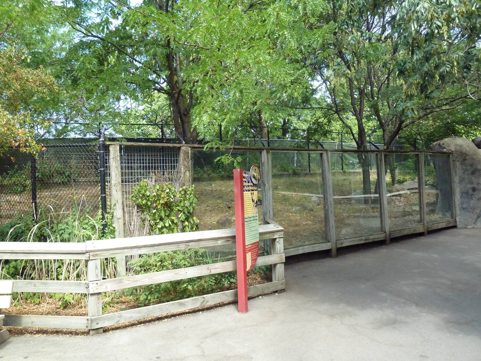 African Wild Dog Exhibit