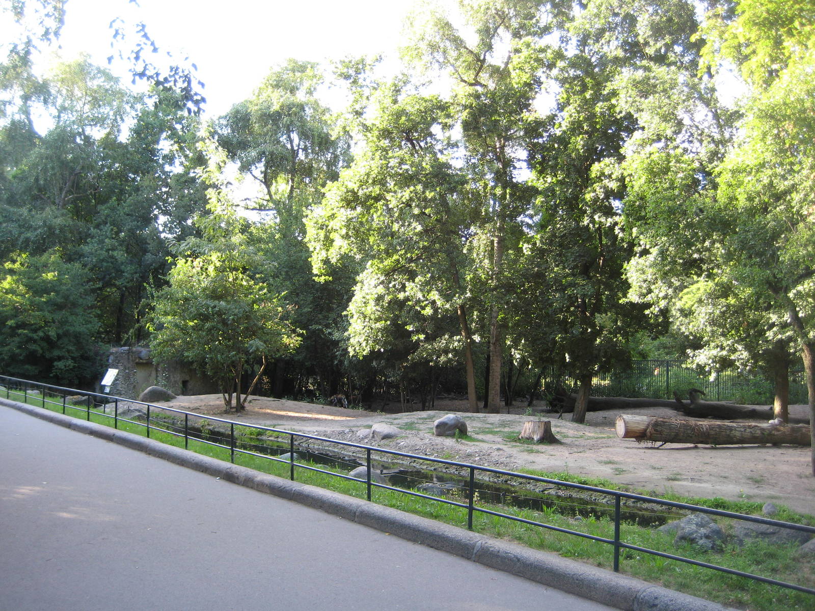 African wild dog exhibit