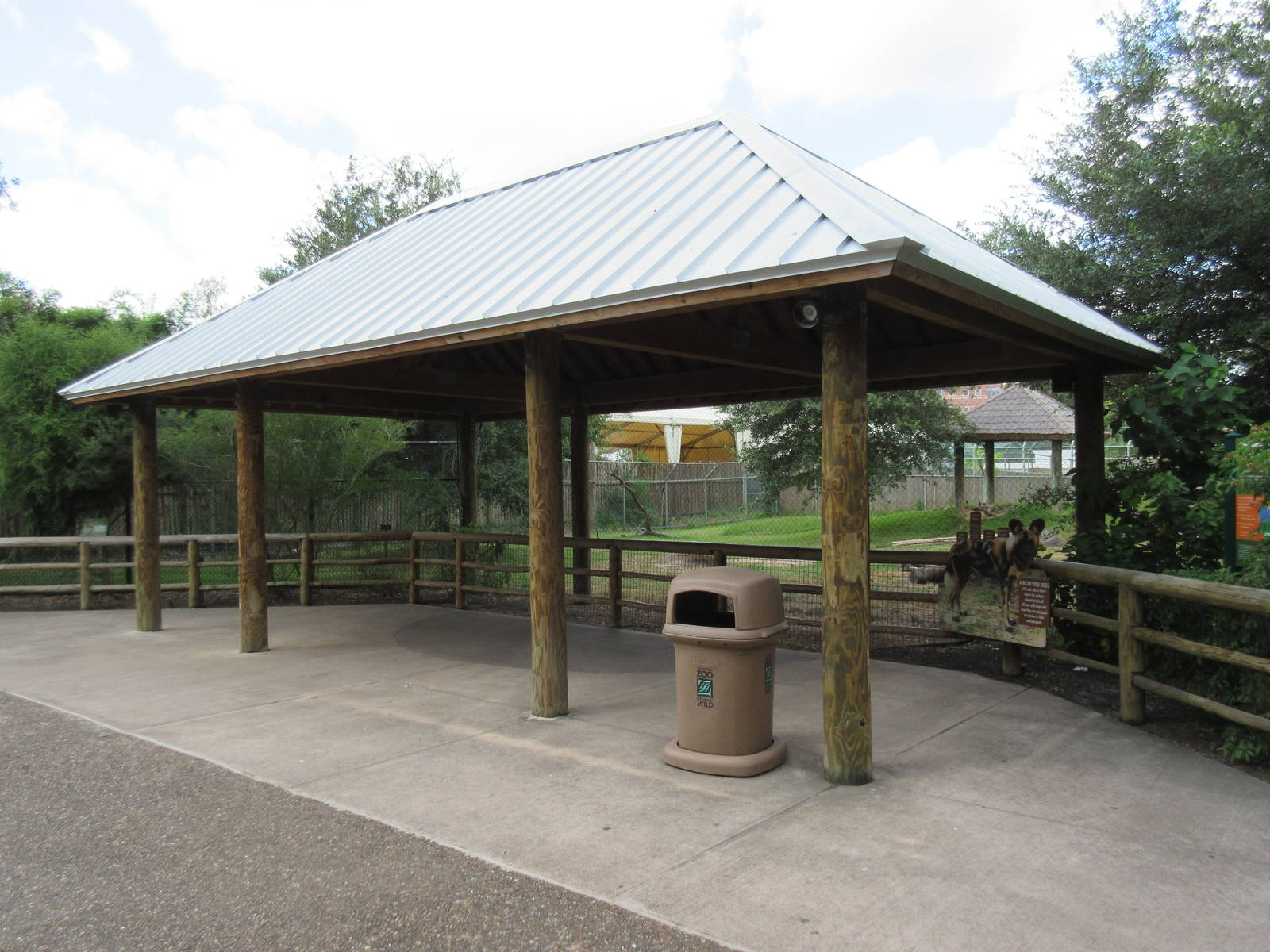 African Wild Dog Exhibit
