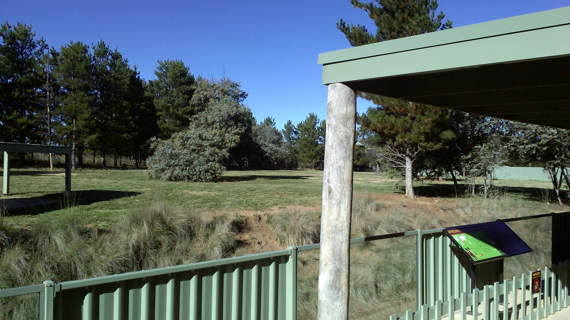 African wild dog exhibit