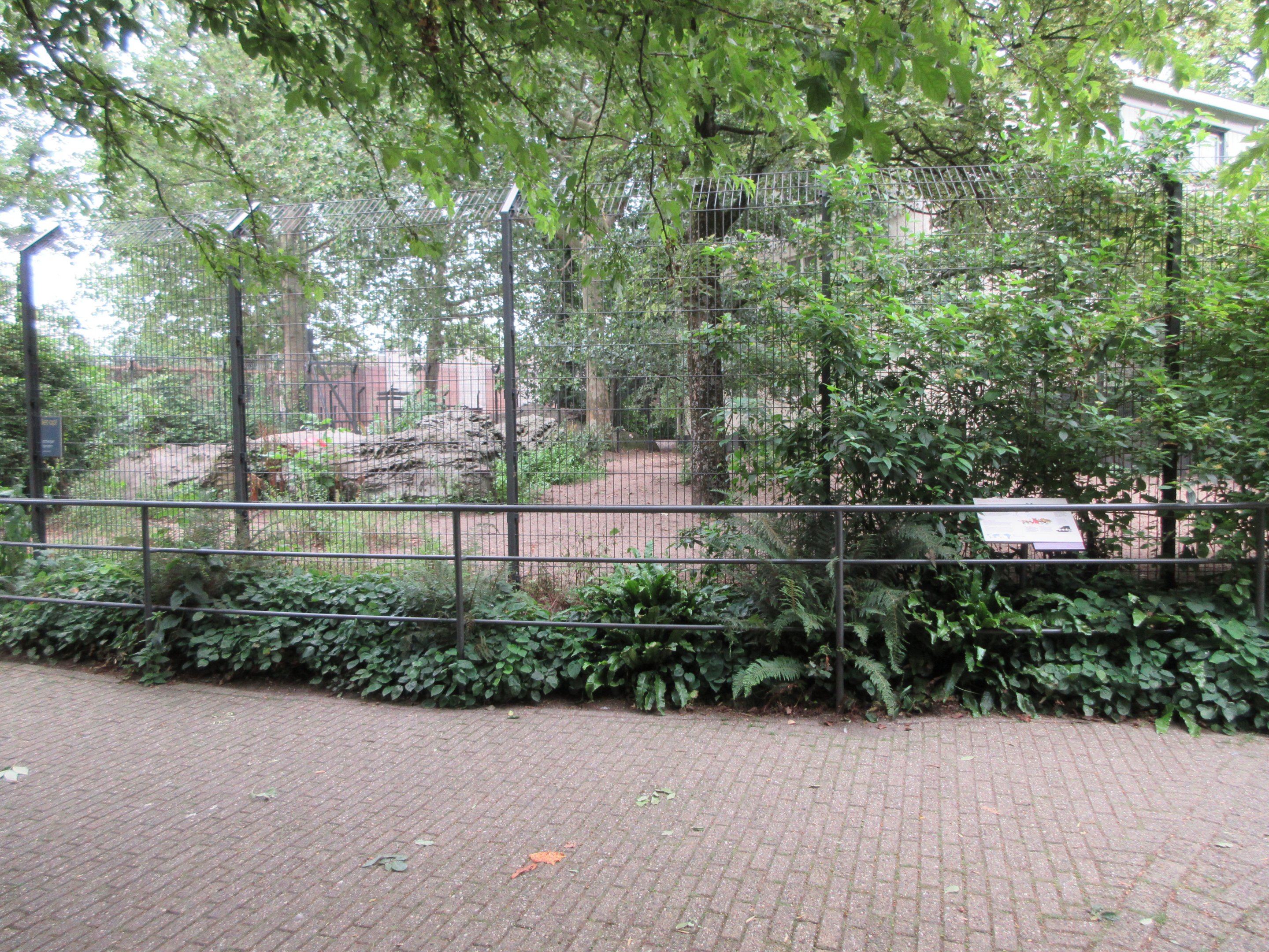 African Wild Dog Exhibit