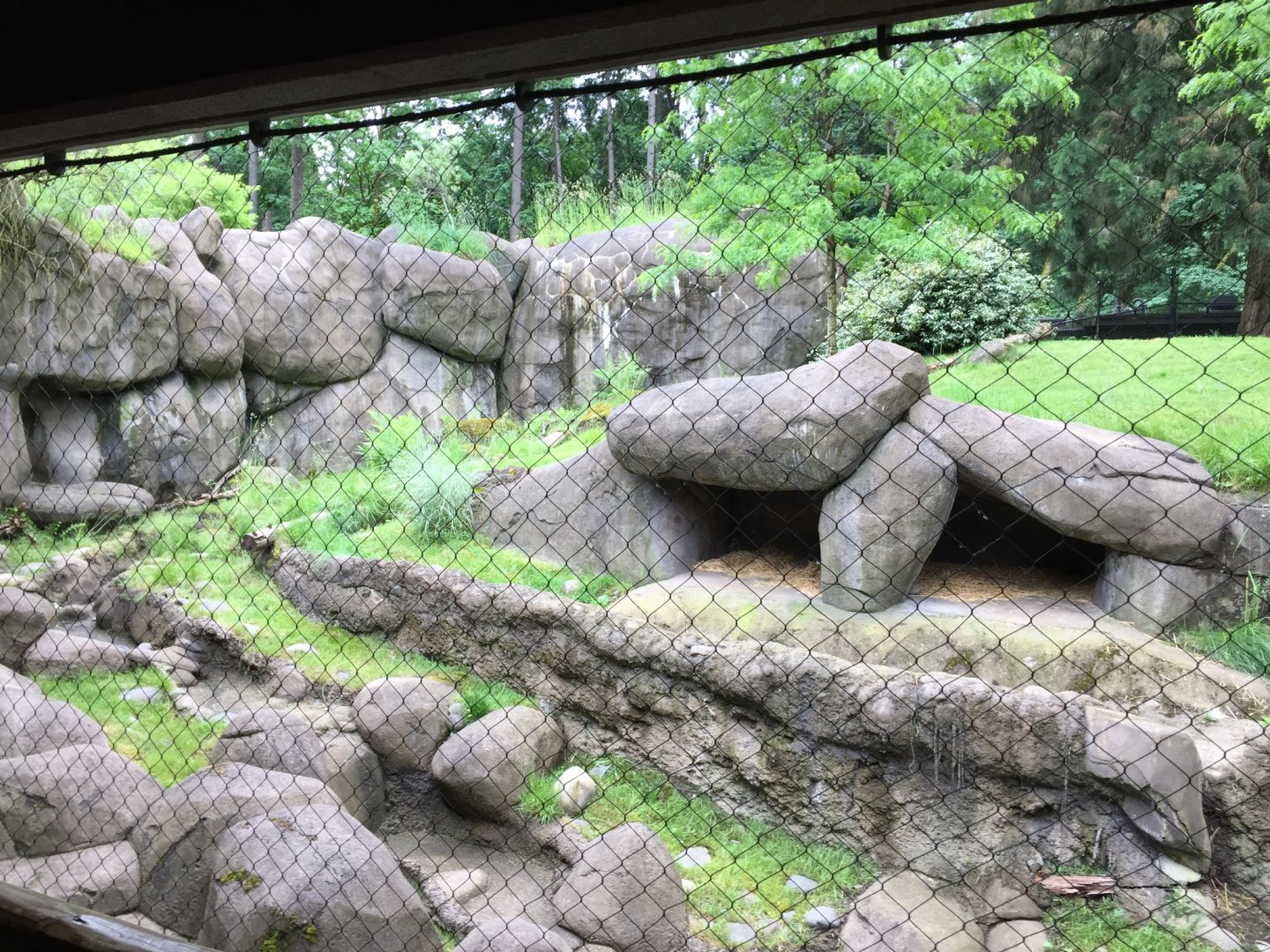 African Wild Dog Exhibit