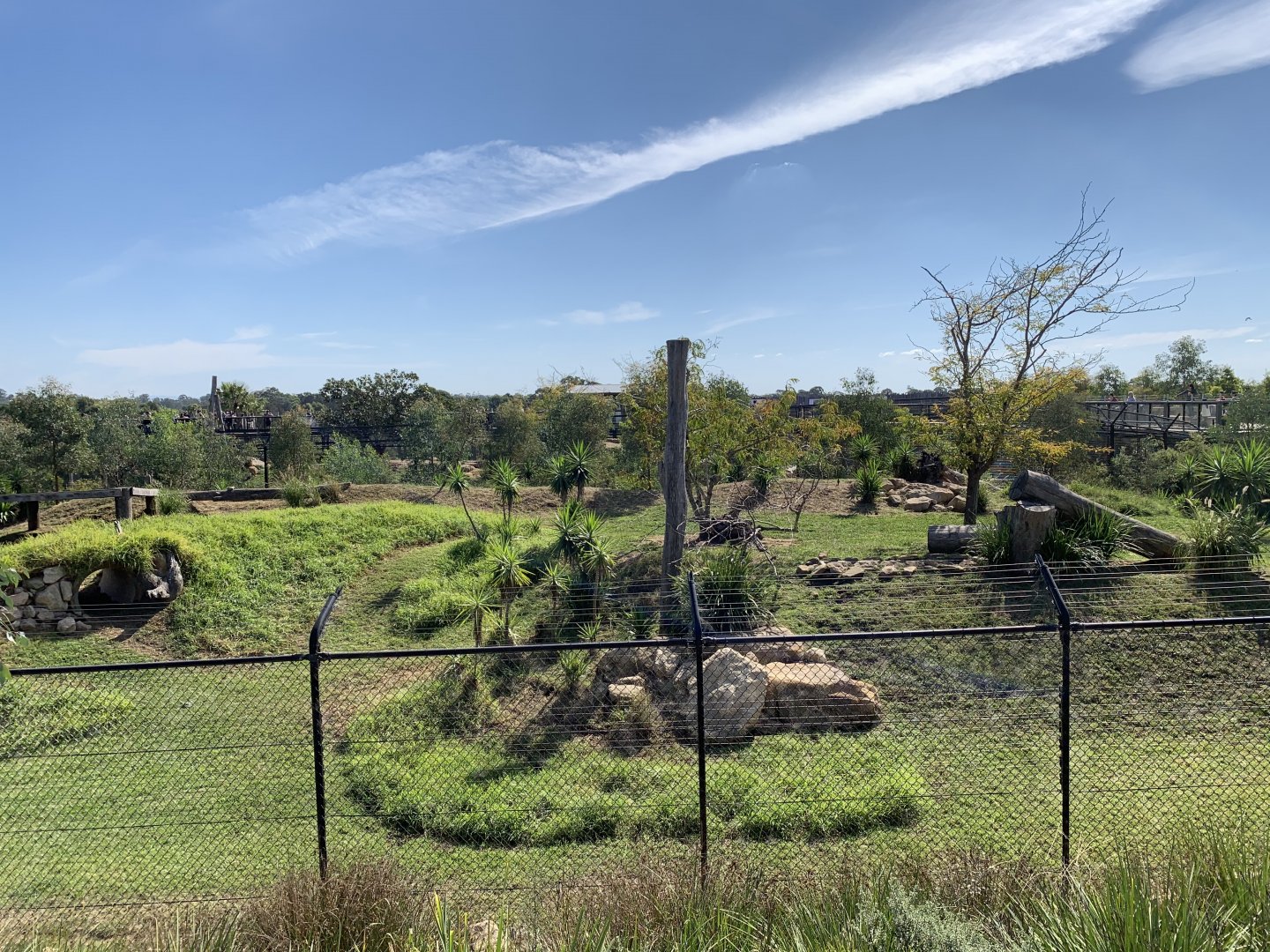 African Wild Dog Exhibit
