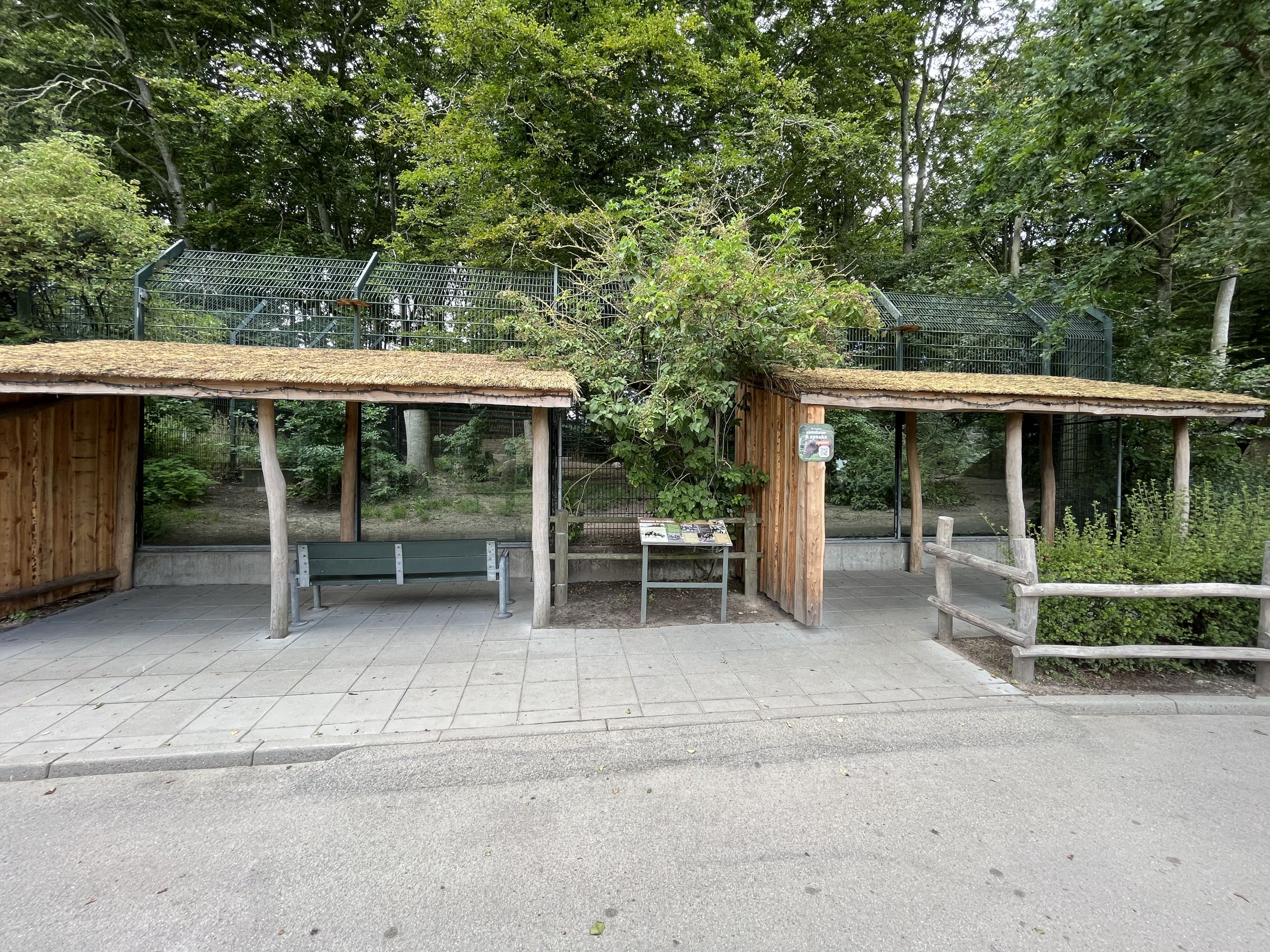 African Wild Dog Exhibit