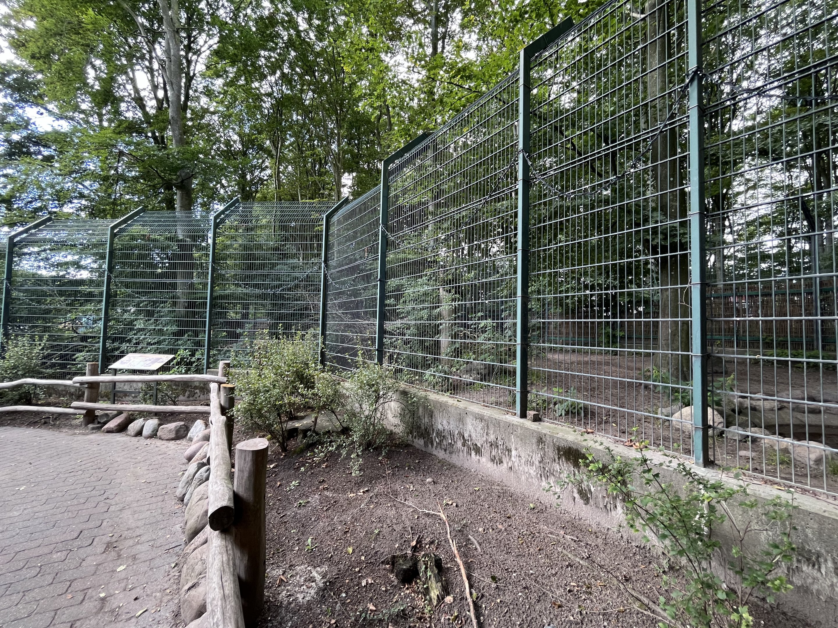 African Wild Dog Exhibit