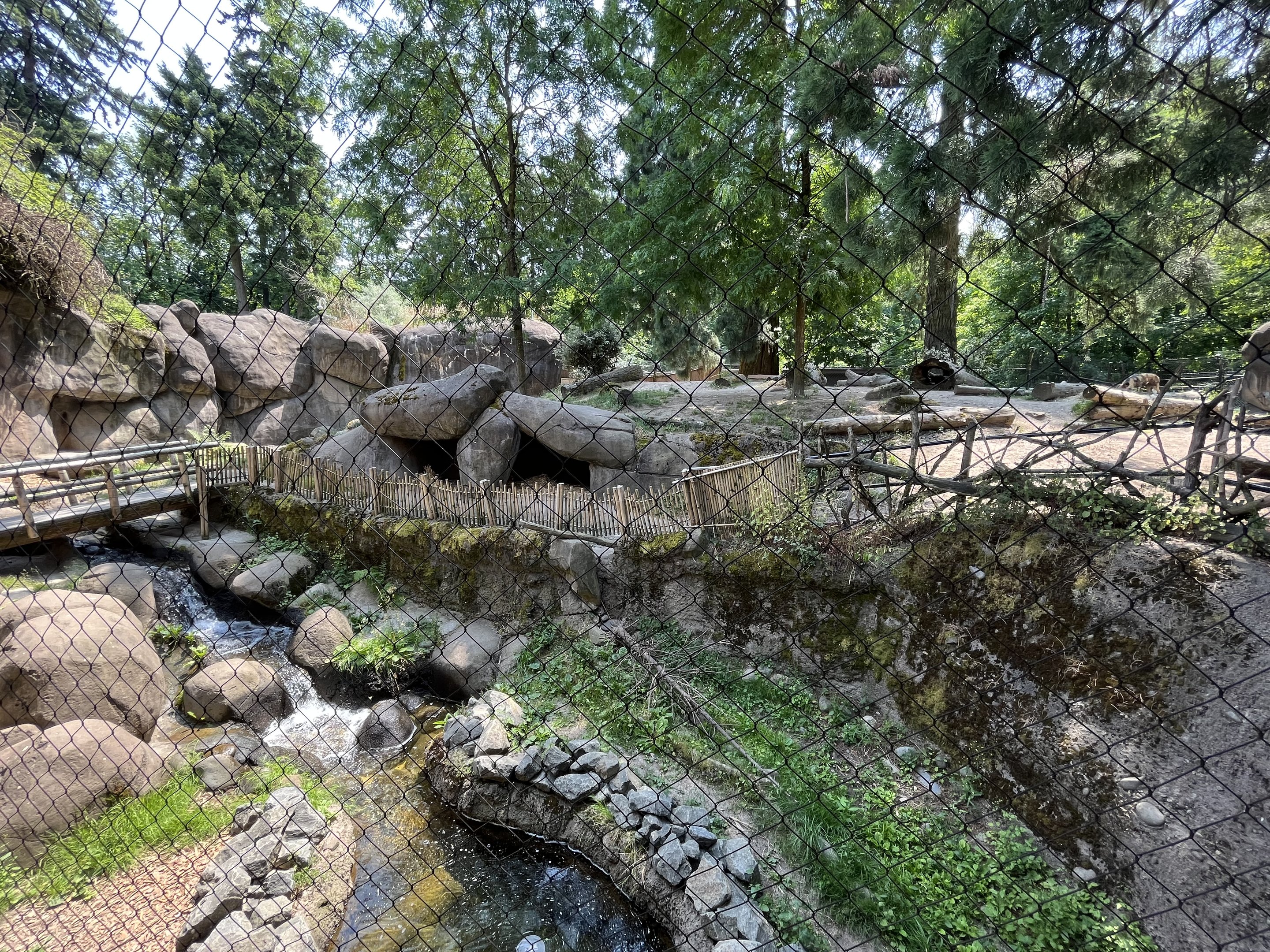 African Wild Dog Exhibit