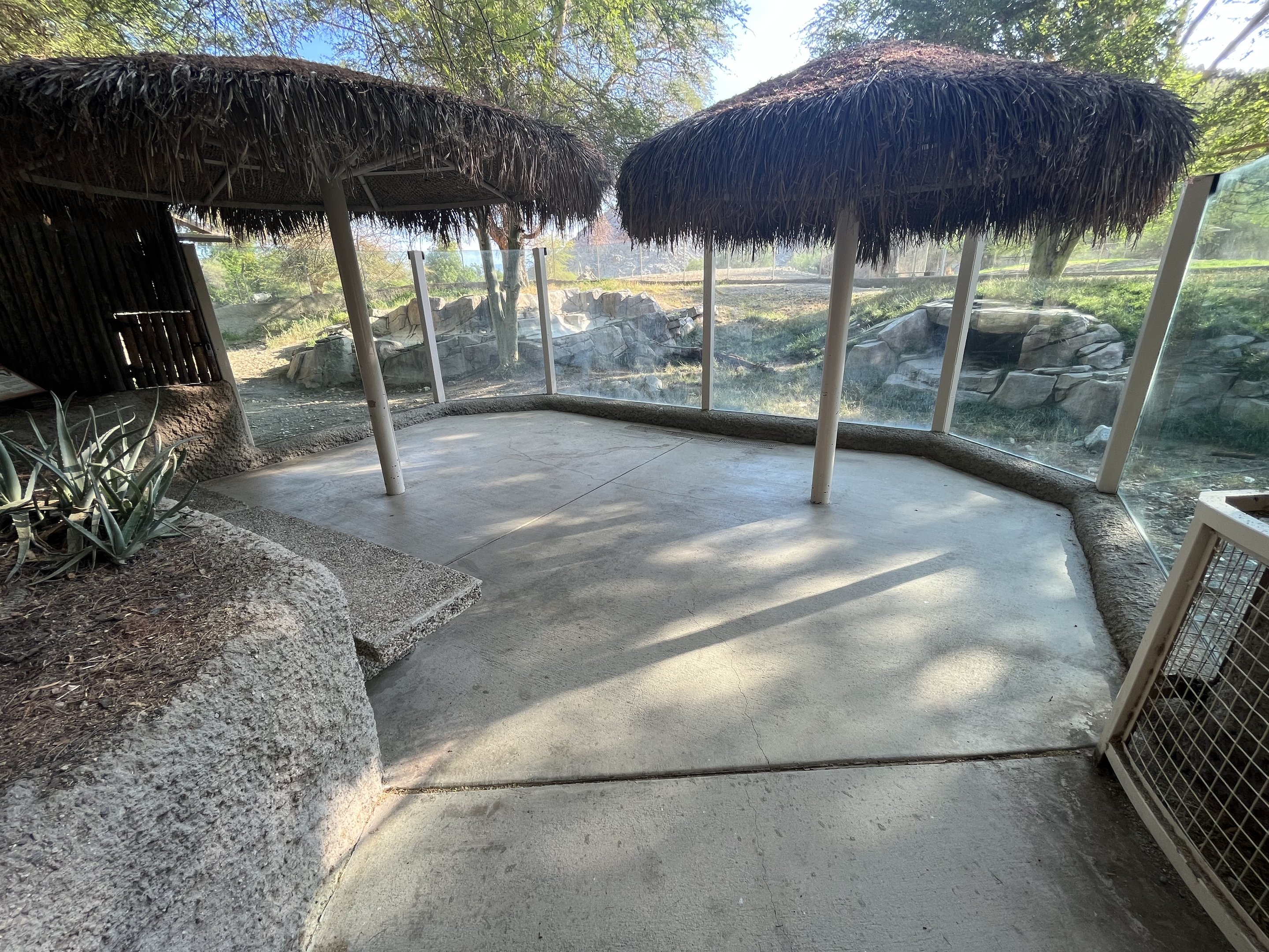 African Wild Dog Exhibit