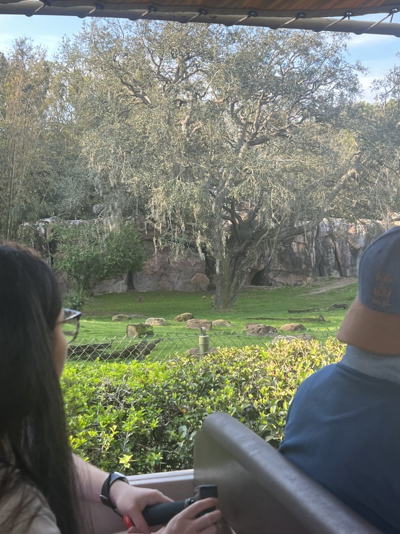 African Wild Dog Exhibit