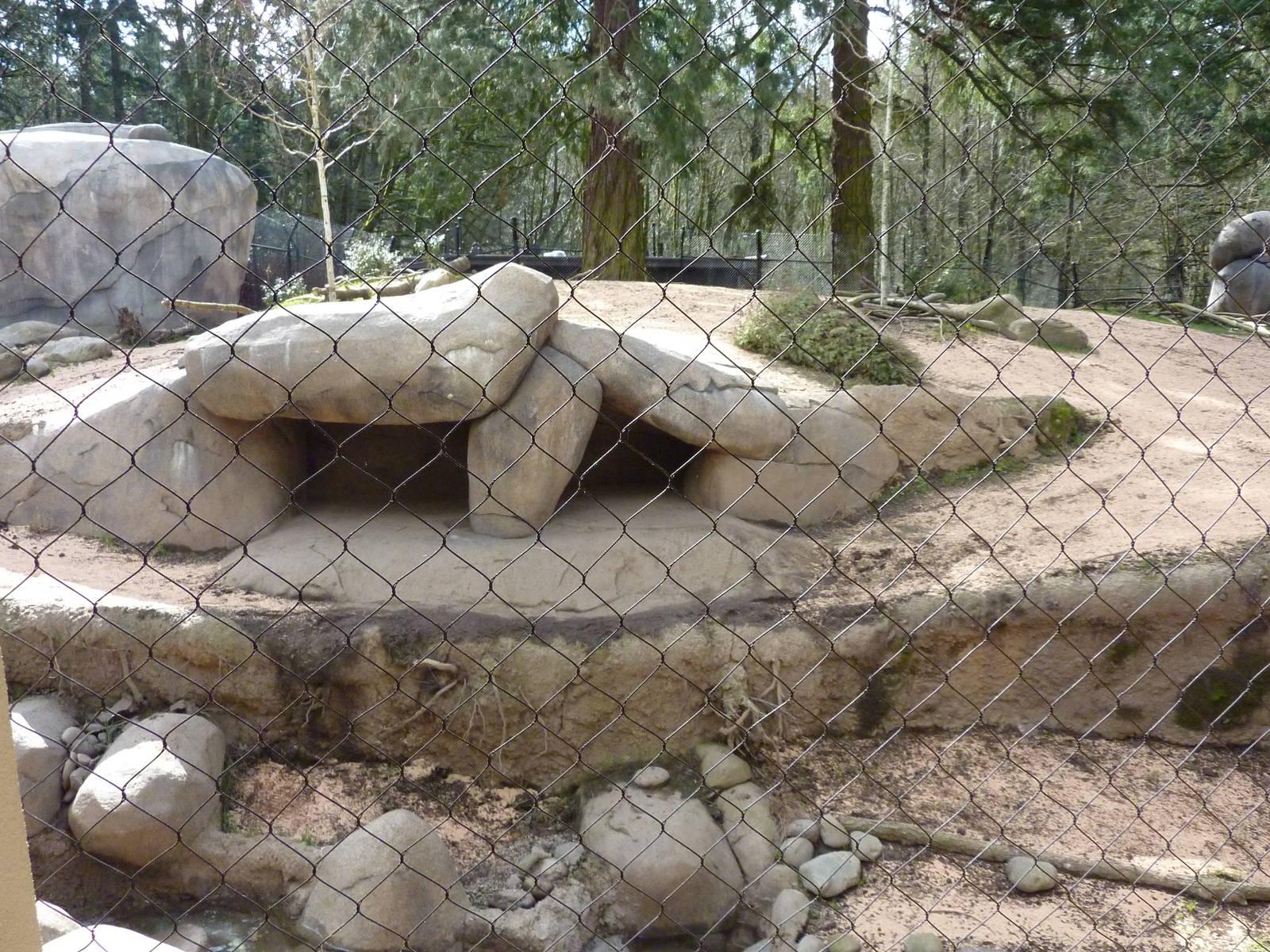 African Wild Dog Exhibit