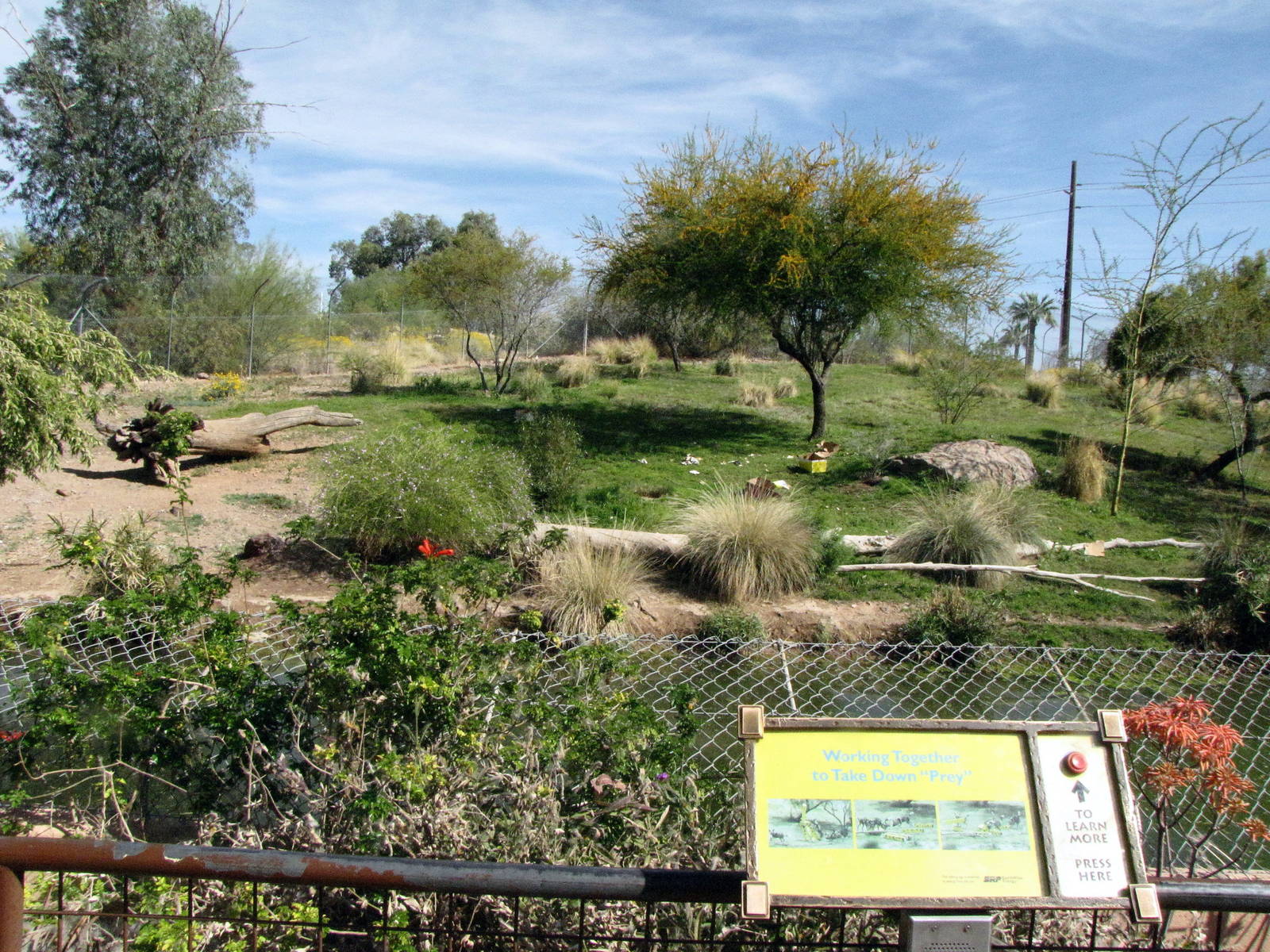 African Wild Dog Habitat