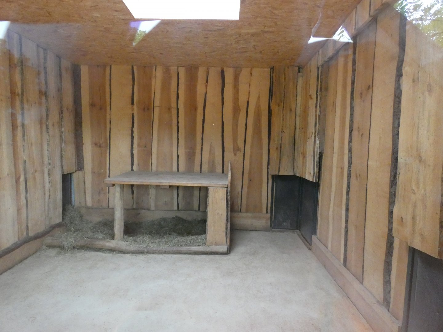 African Wild Dog House