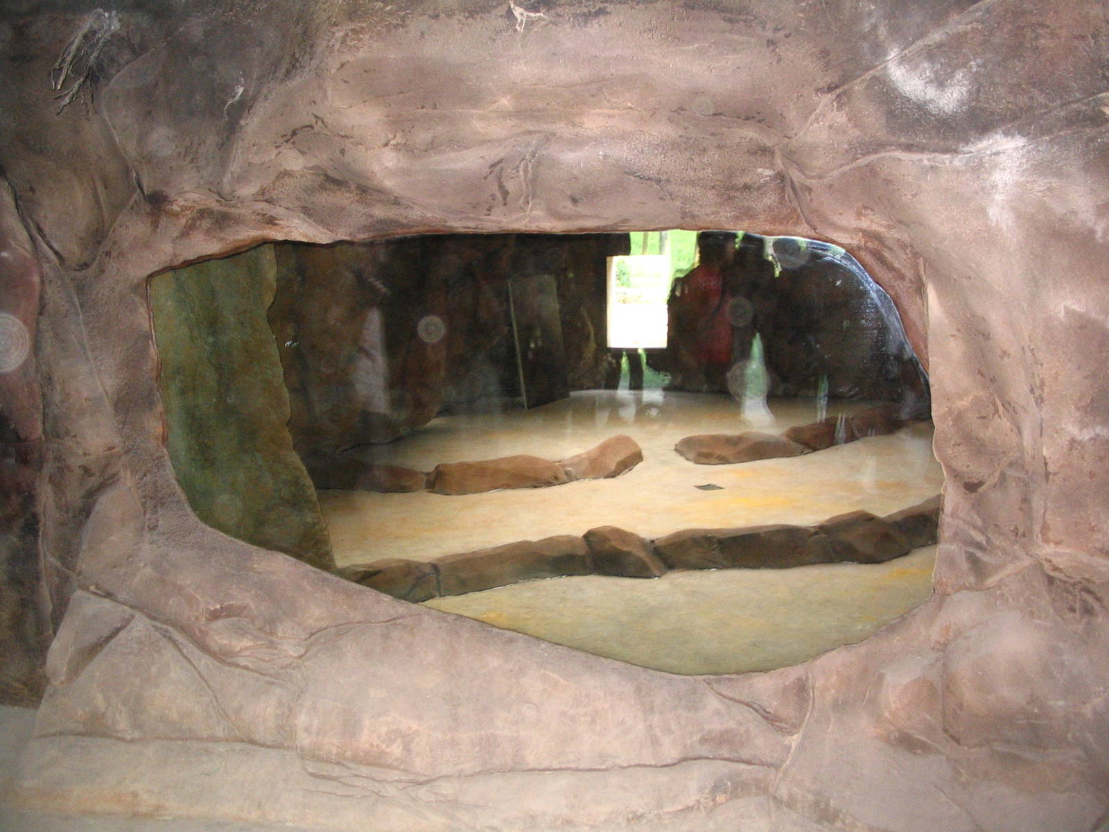 African wild dog indoor enclosure under construction