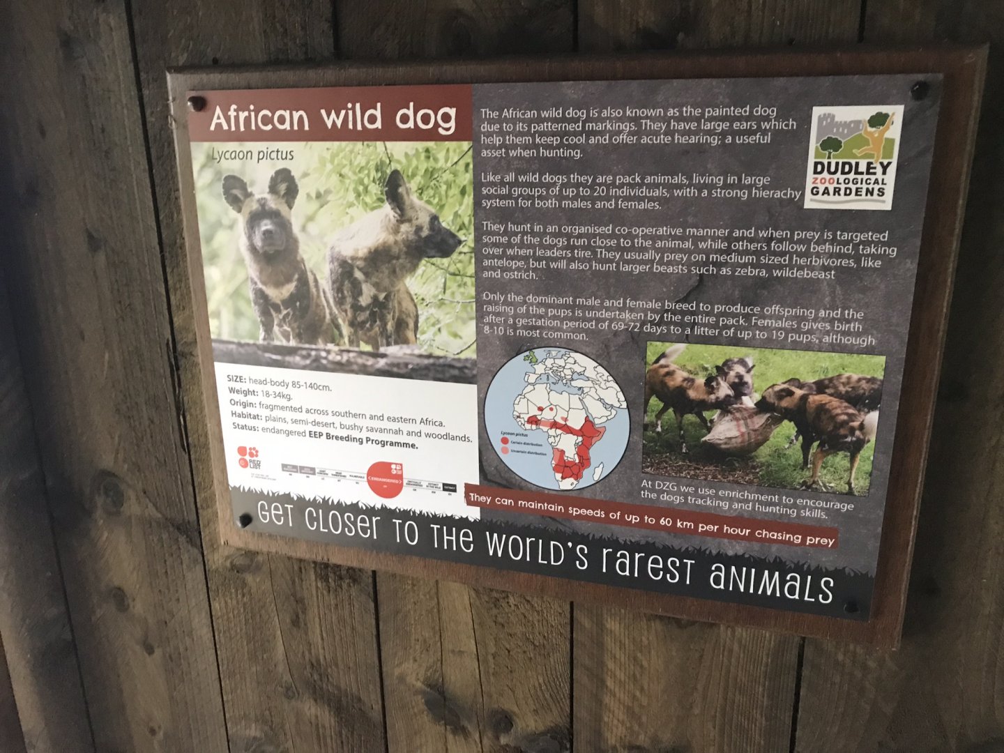 African wild dog signage 230619