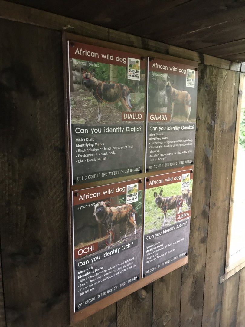 African wild dog signage 230619