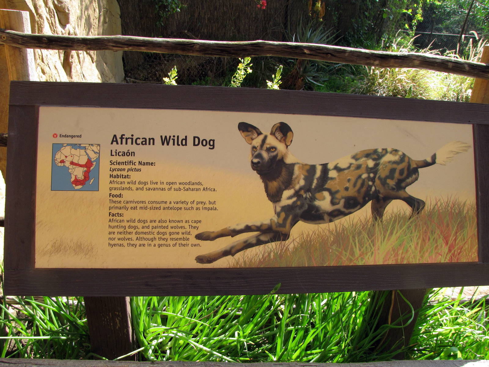 African Wild Dog Signage