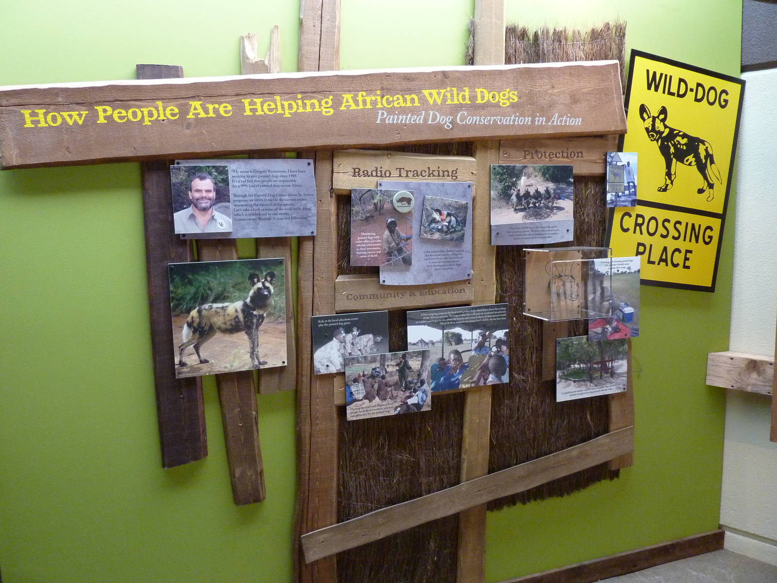 African Wild Dog Signage